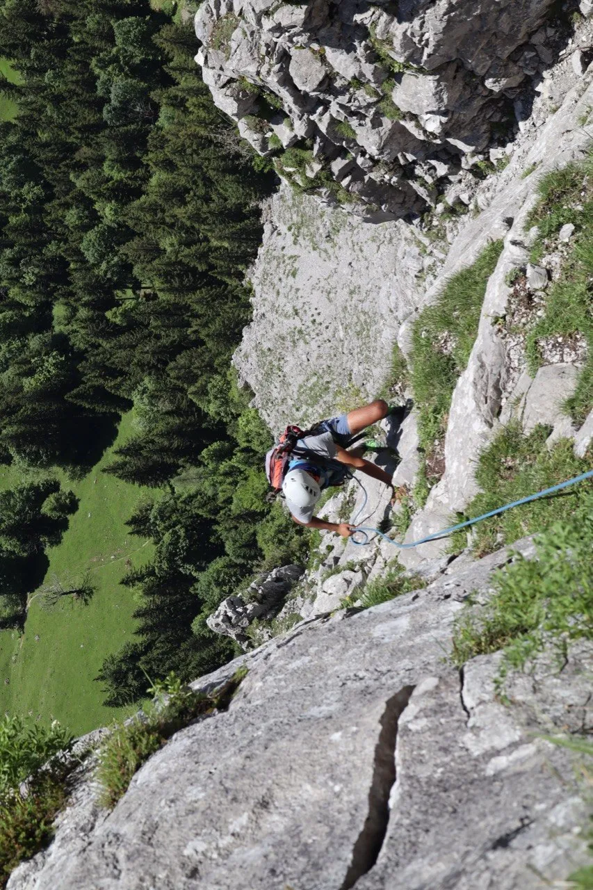 Climber on a steep grey rock face high above a green forest valley.