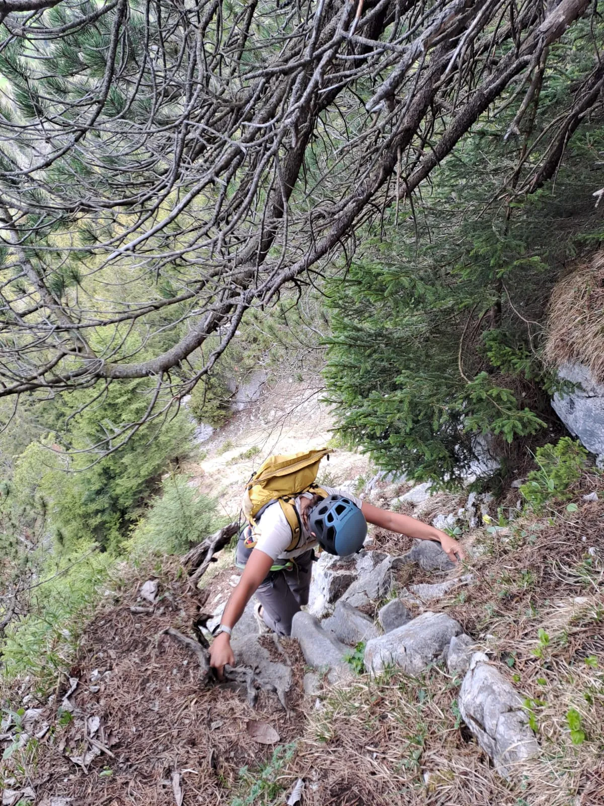 A hiker in helmet and harness scrambles up a steep, loose forest gully early in the tour.