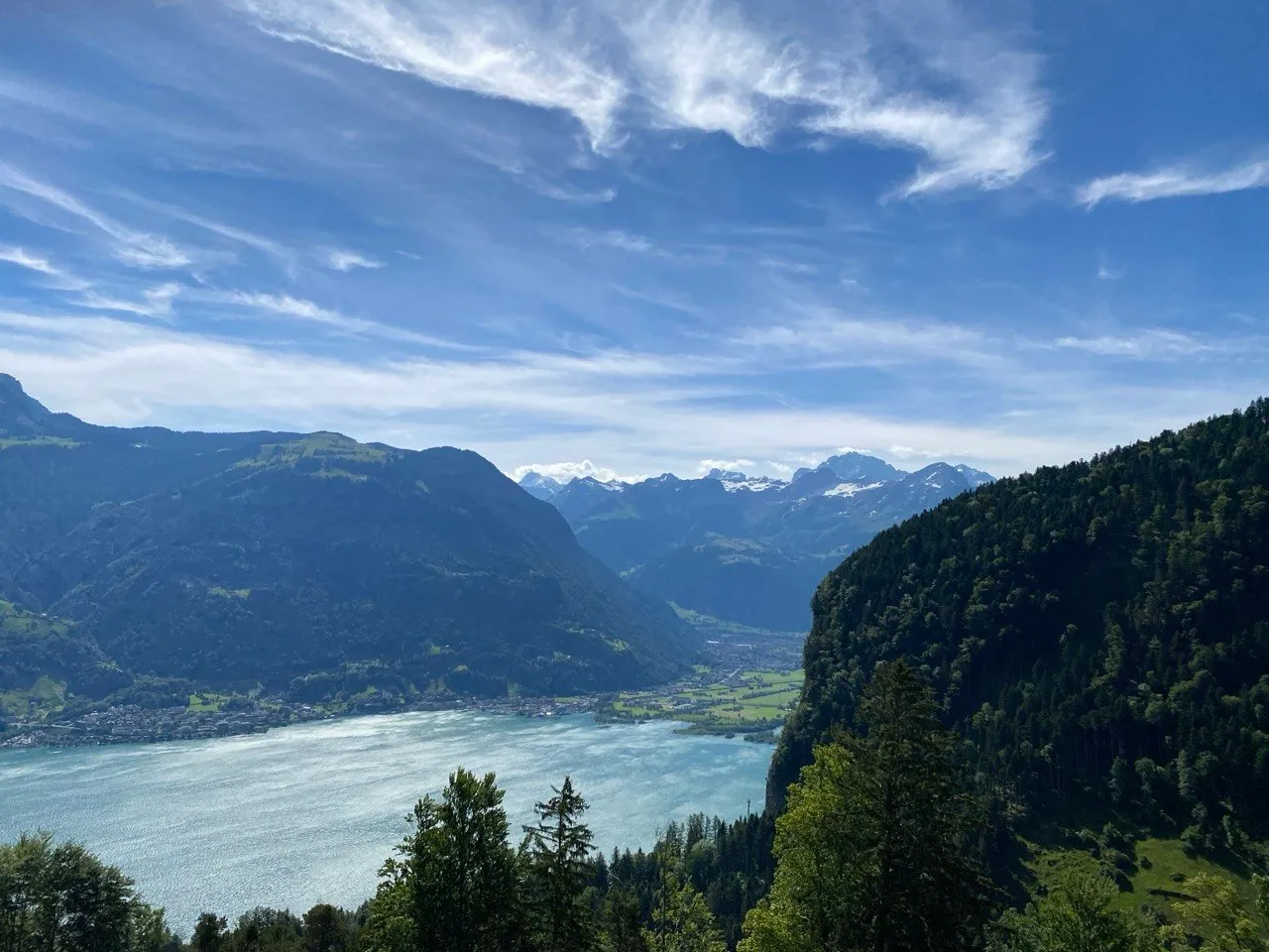 Panoramic view over turquoise Lake Uri toward snow-capped Alps.