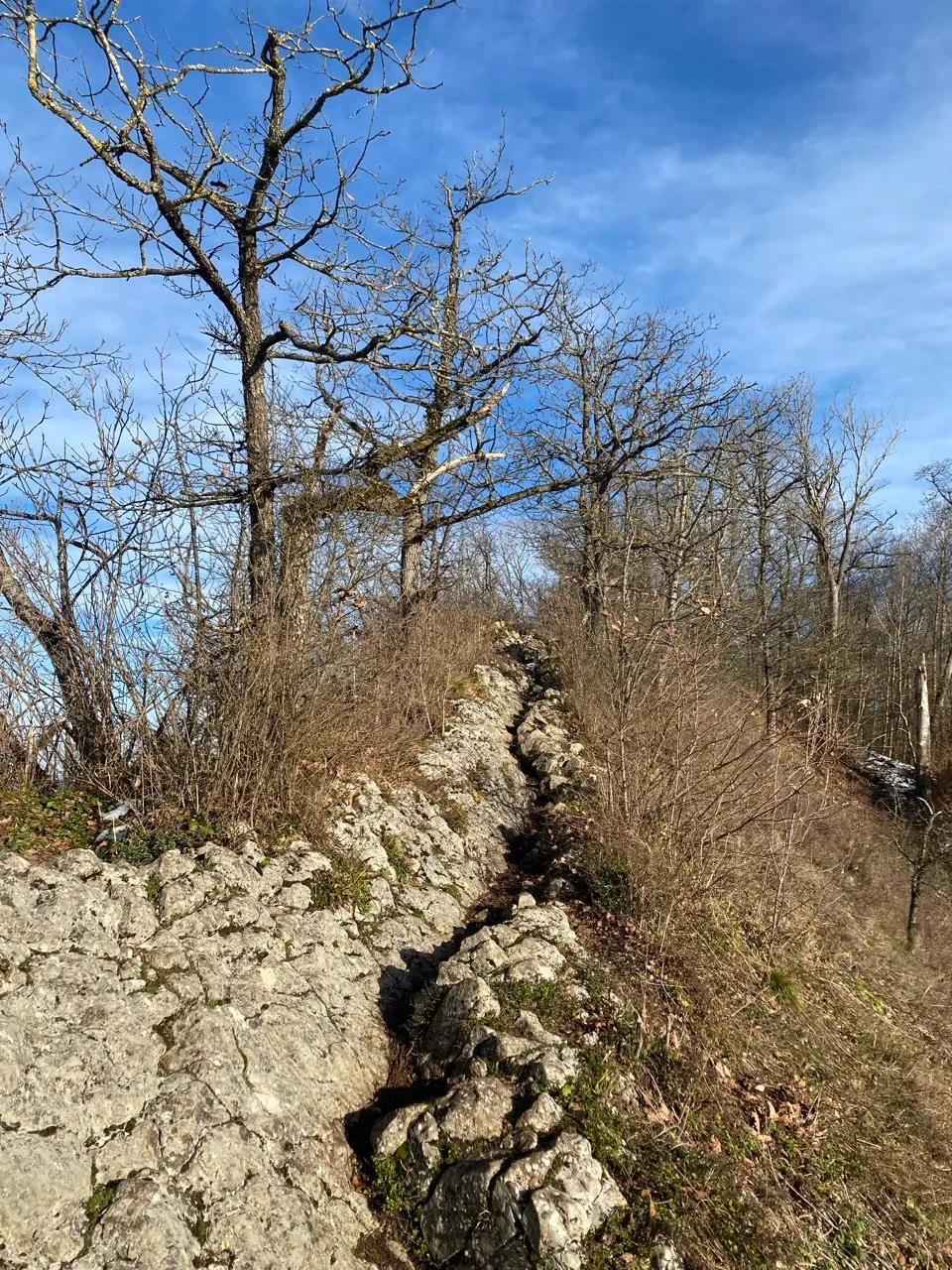 Rocky ridge path between bare trees under a blue sky.