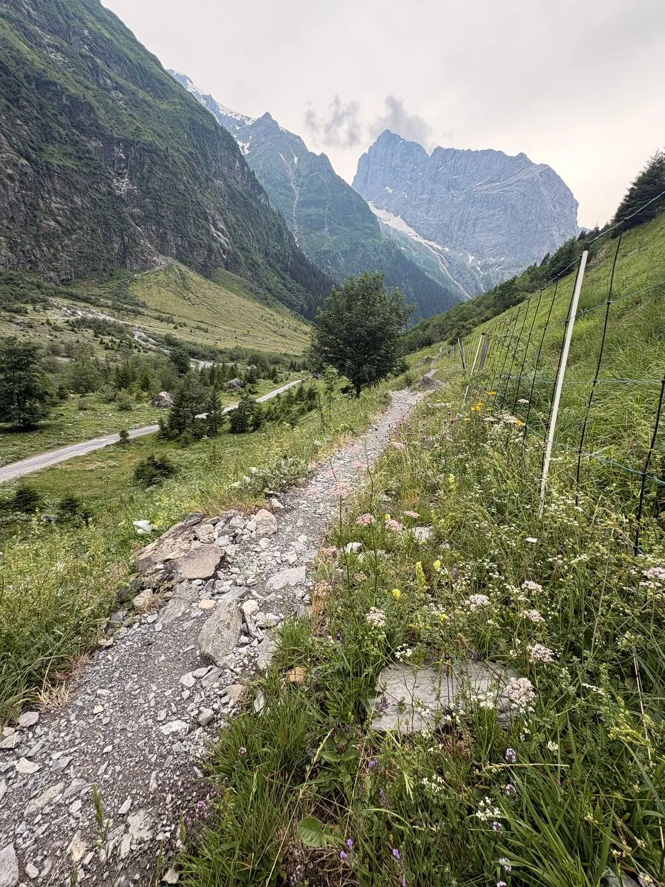 A narrow gravel path winds through flowering mountain meadows into the valley, with steep walls and a cloud-shrouded summit behind.