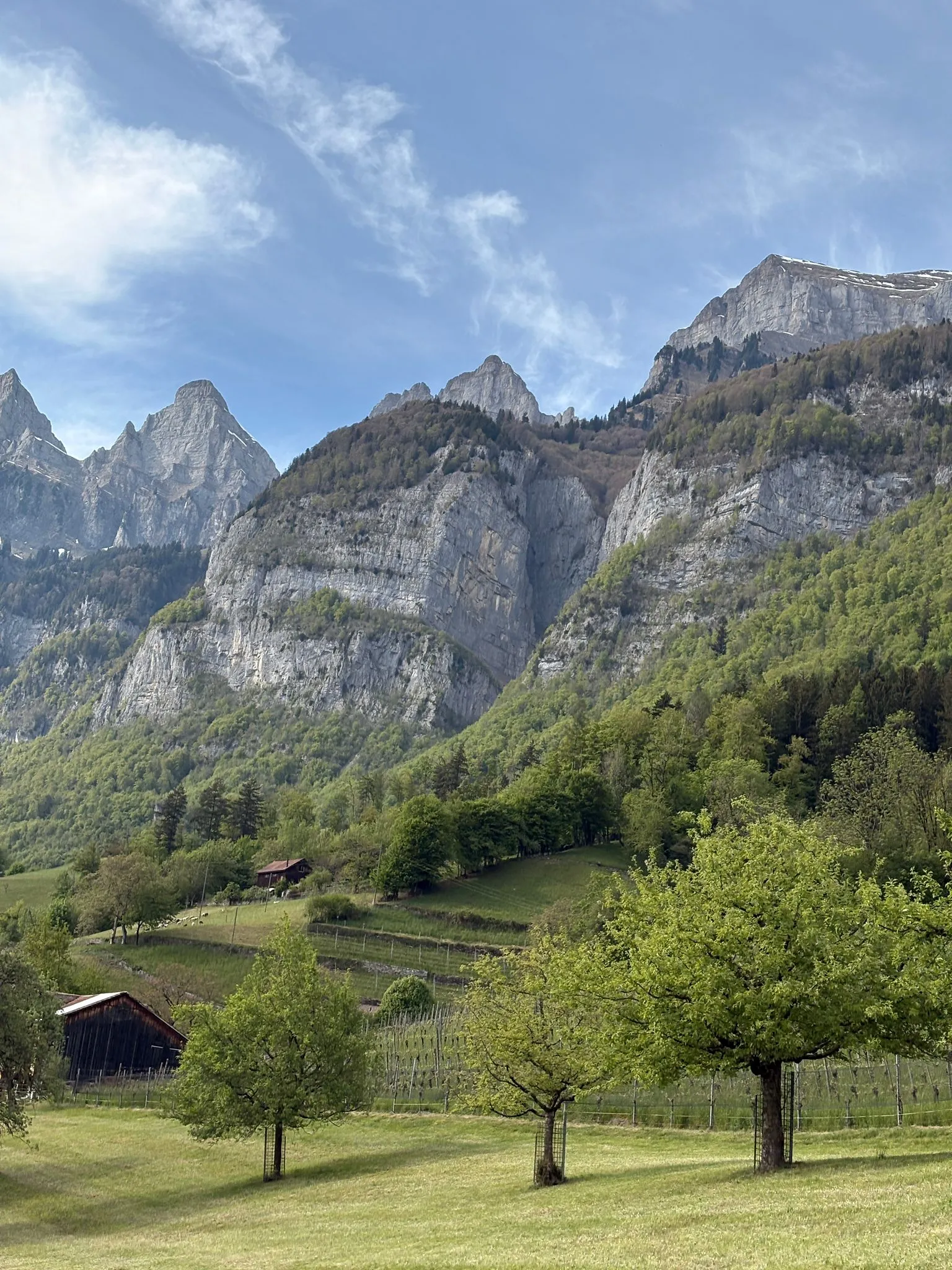The steep limestone cliffs of the Churfirsten rising directly above the meadows at the start of the climb.