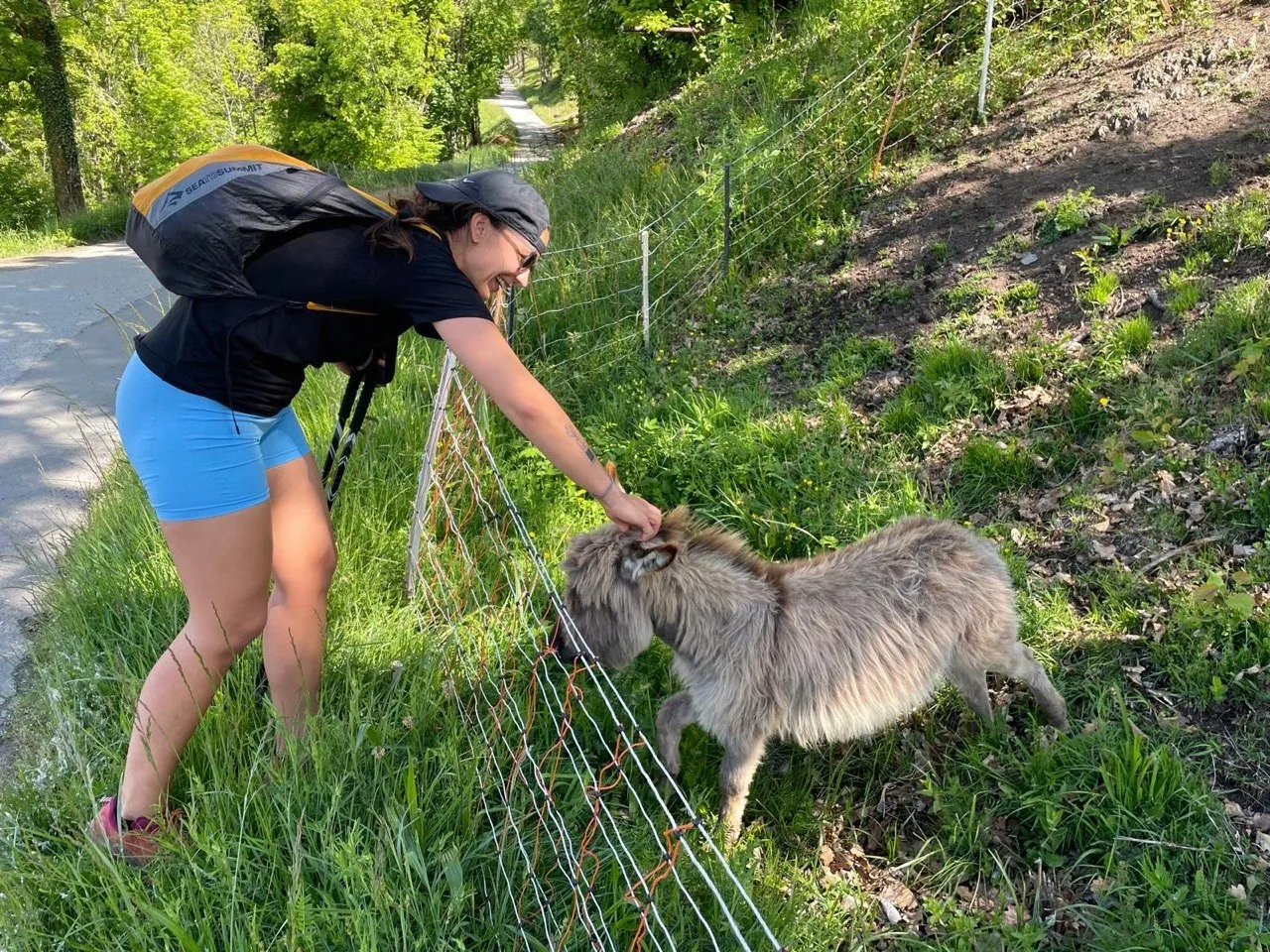 Hiker petting a donkey by the trailside.