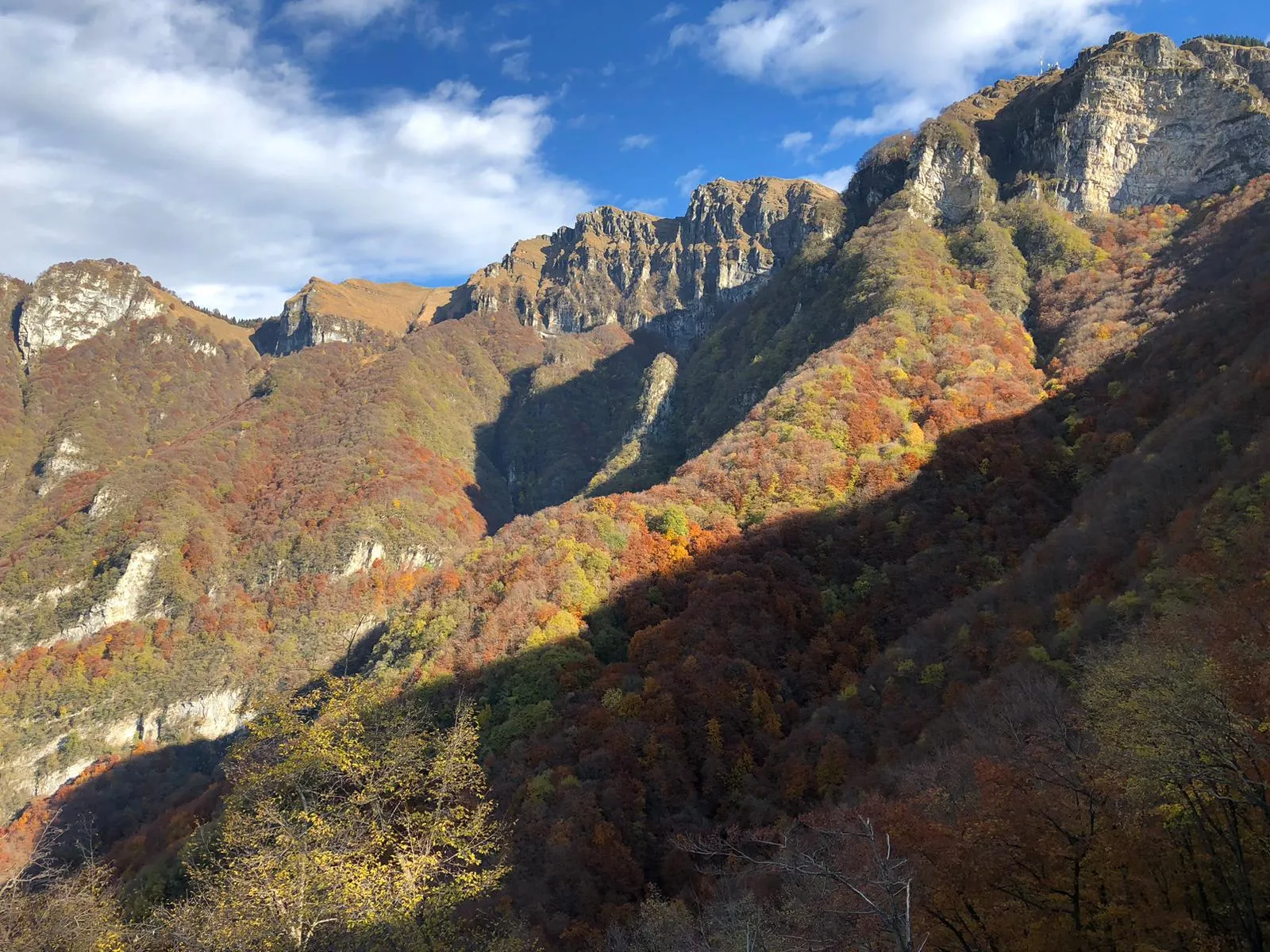 The craggy summit ridge of Monte Generoso rising above slopes of red and gold autumn forest.