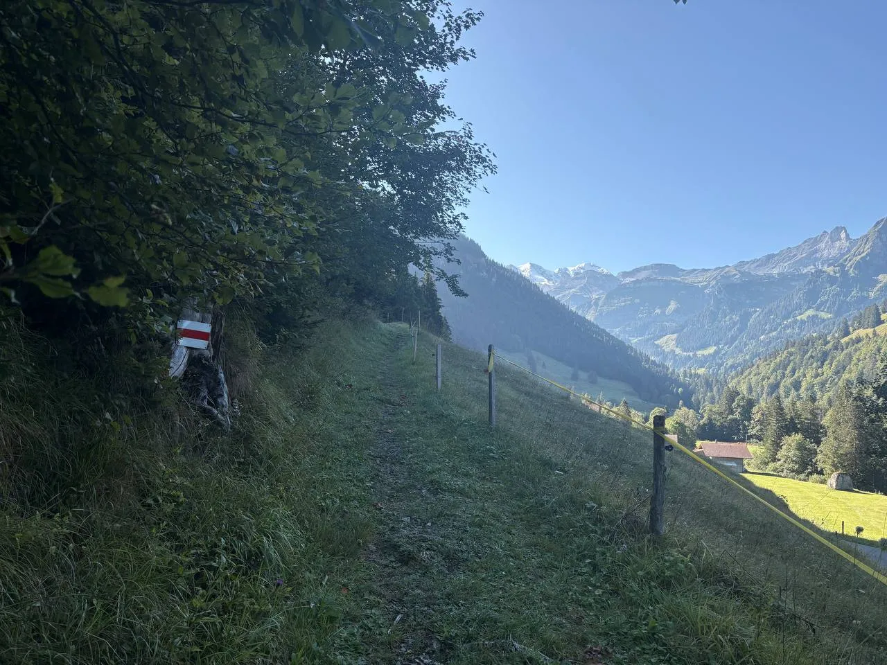 A grassy path with a white-red-white waymark on a tree stump, a pasture fence to the right and the snowy Blüemlisalp hazy in the distance.