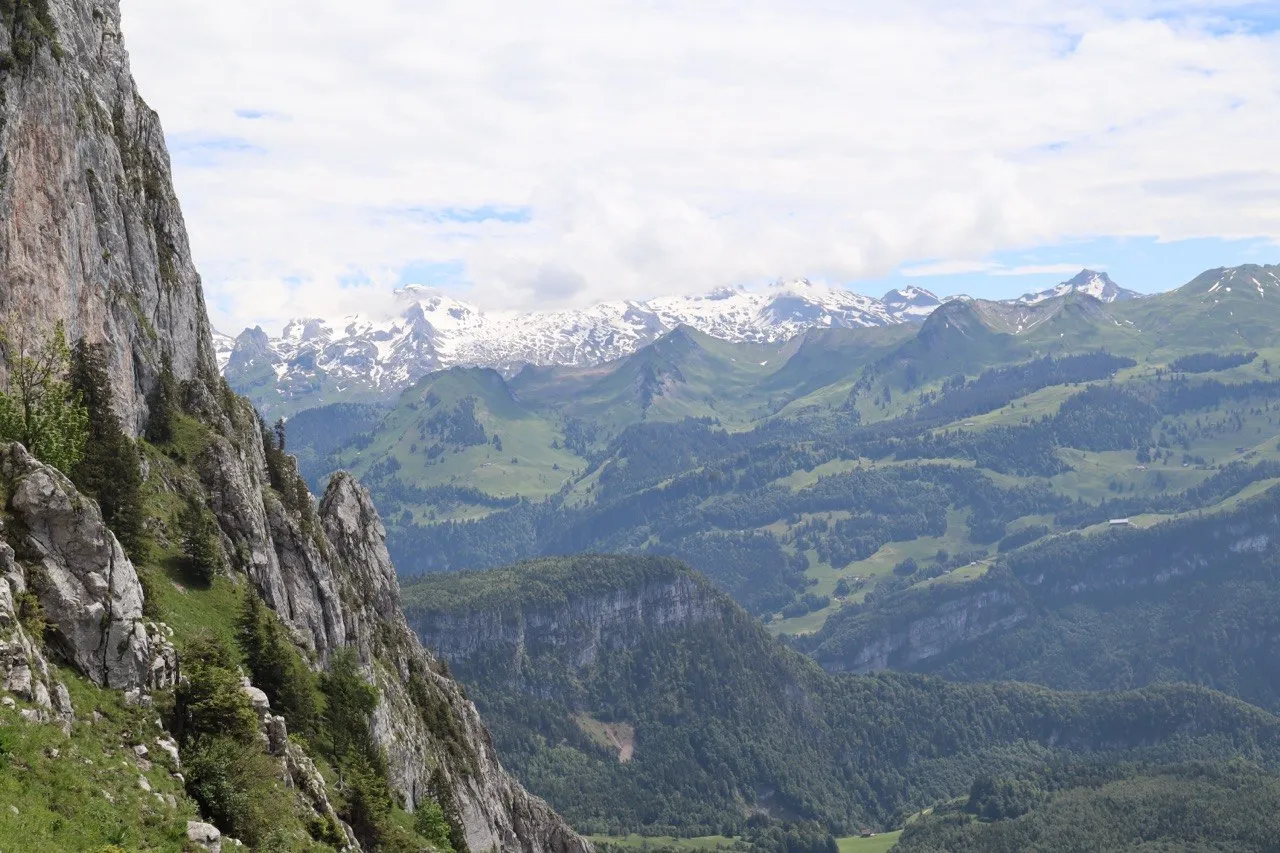 Snow-capped Alpine peaks across a wide green valley, seen from the limestone cliffs.