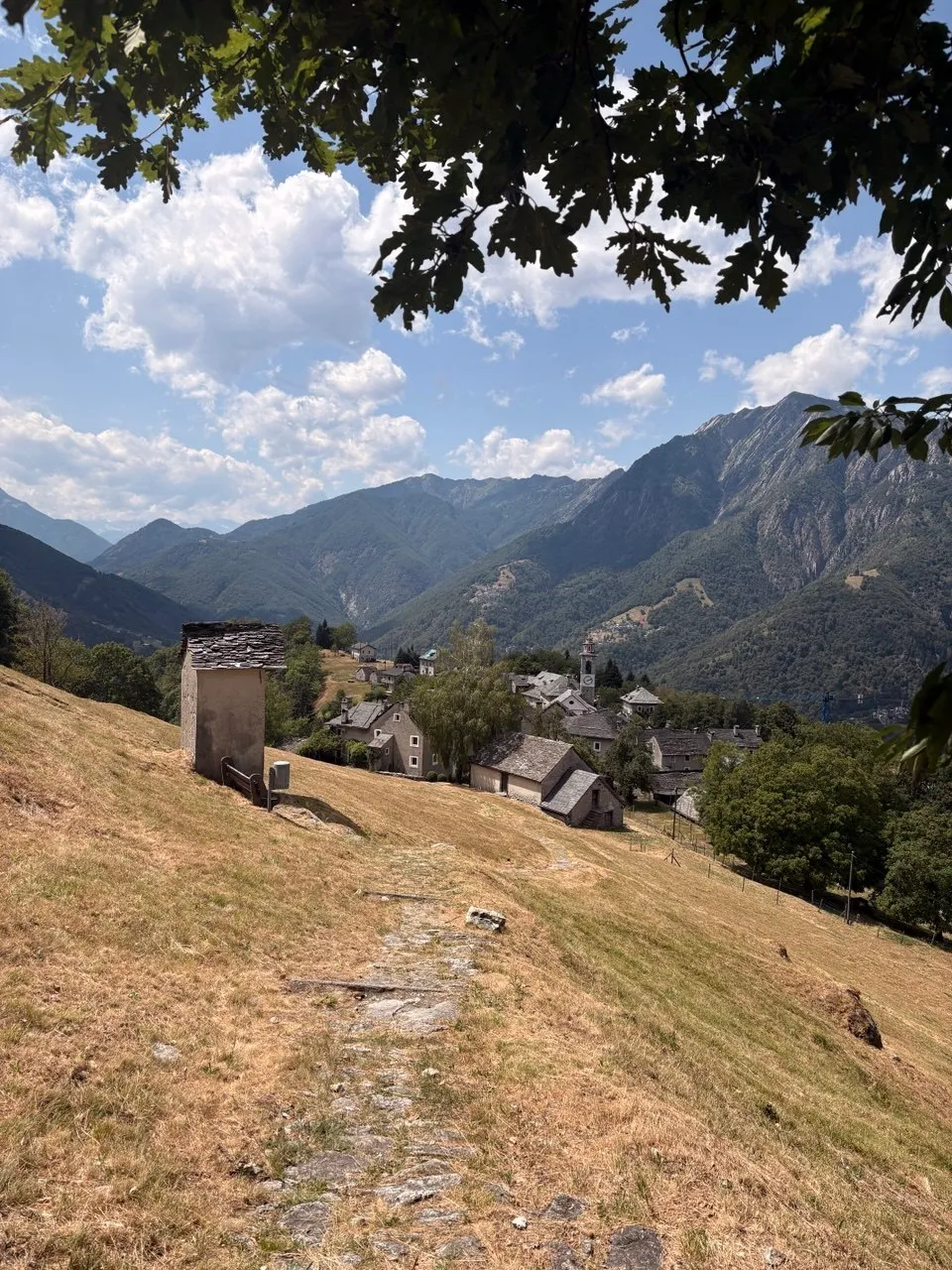 A Ticino village with a church tower seen from a dry grassy slope, framed by oak leaves, steep wooded mountains behind.
