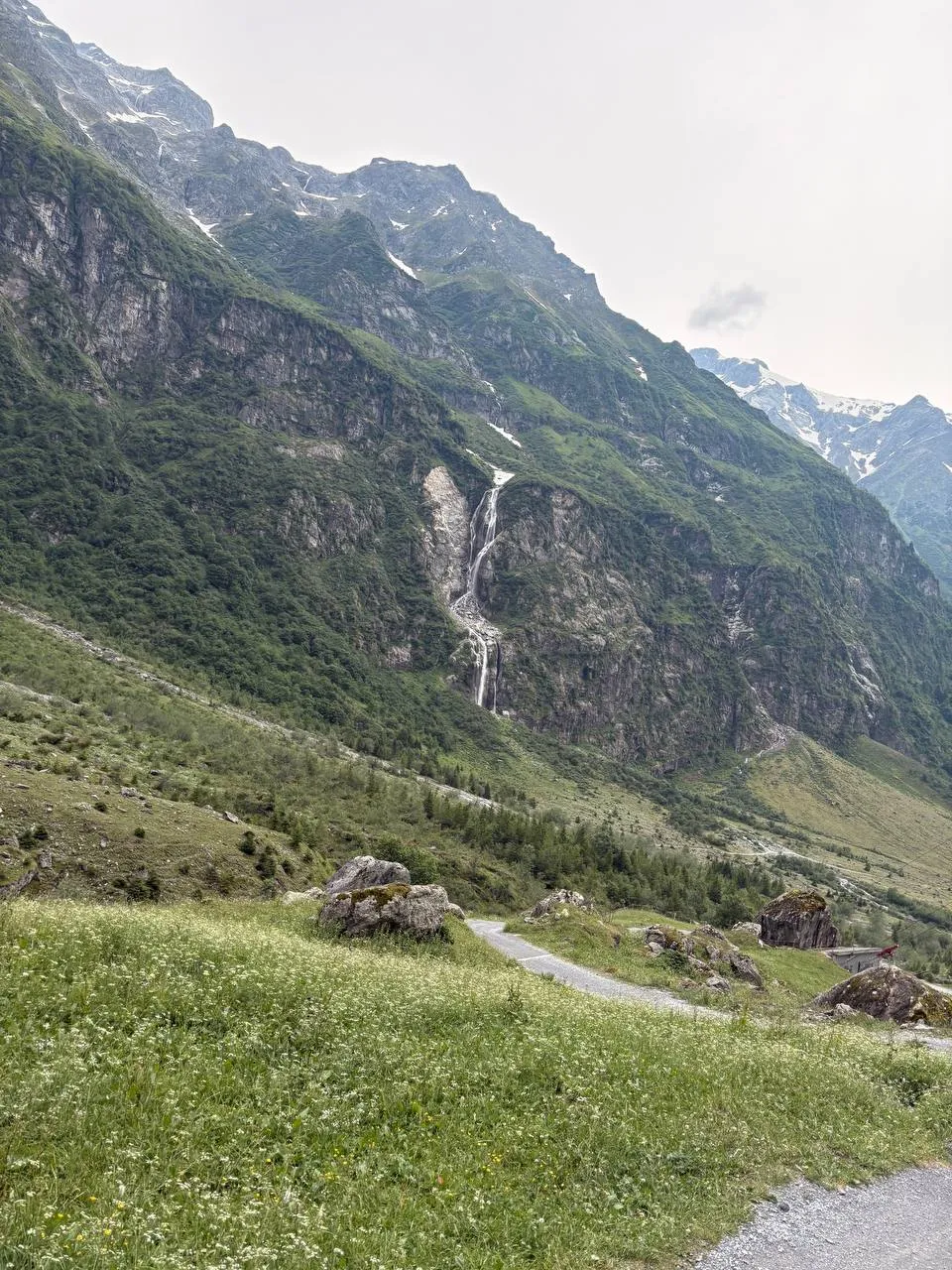 A tall, slender waterfall plunges over a forested rock wall, with a blooming meadow and a gravel path in the foreground.