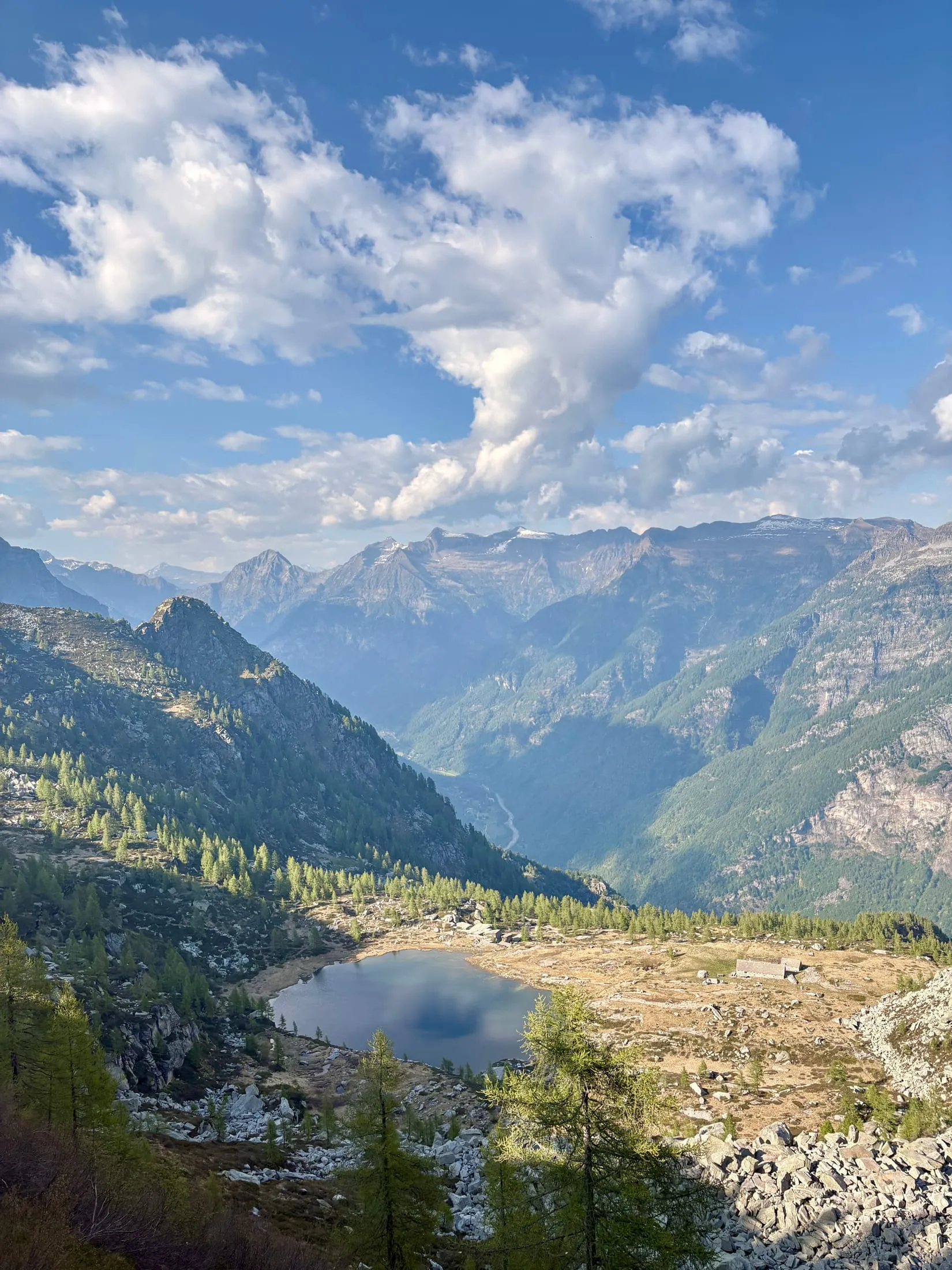 Looking down over a small alpine lake and scattered larches toward the hazy valley beyond.