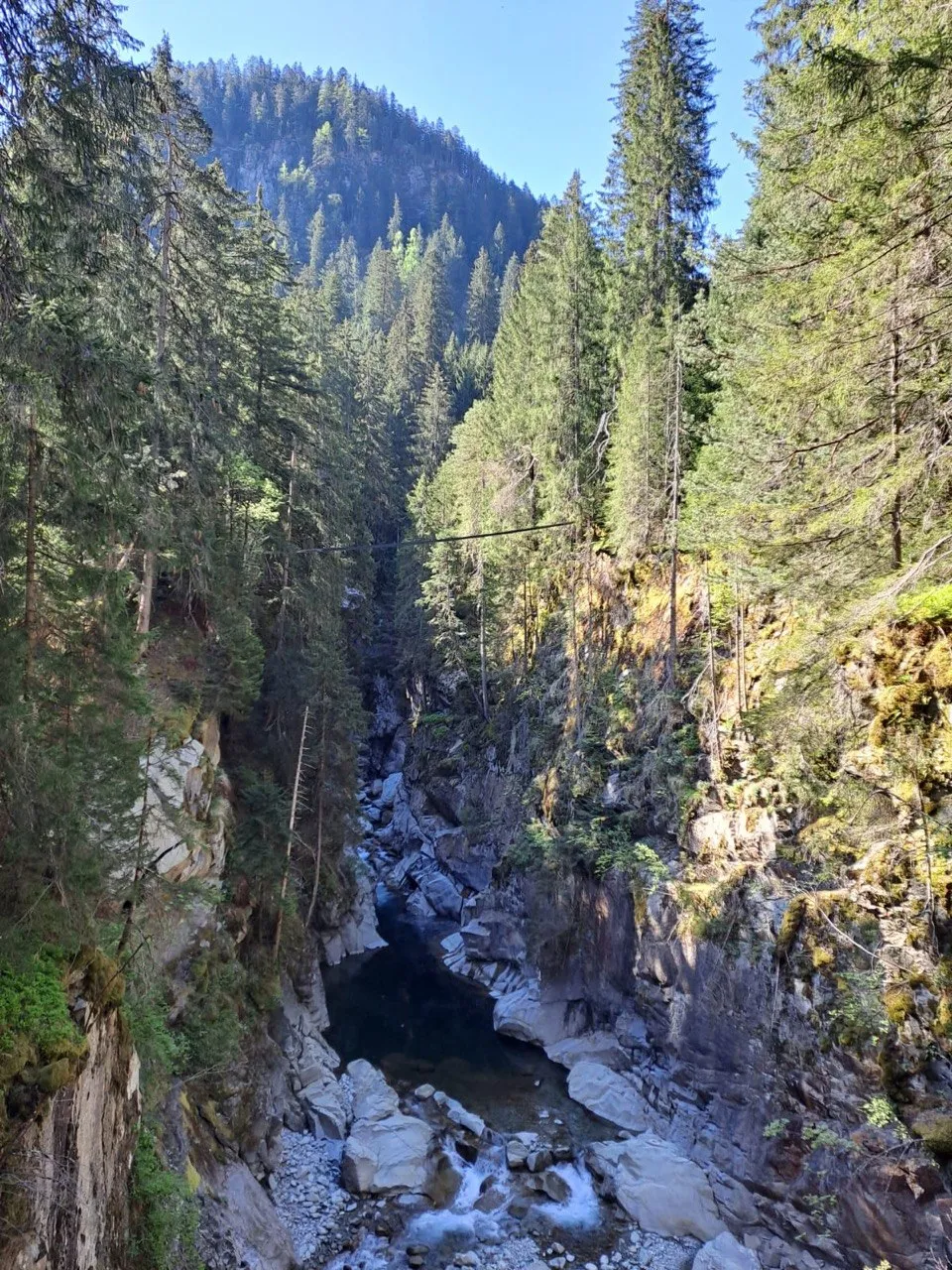 Deep, narrow gorge with a dark pool of water surrounded by steep rock walls and trees.