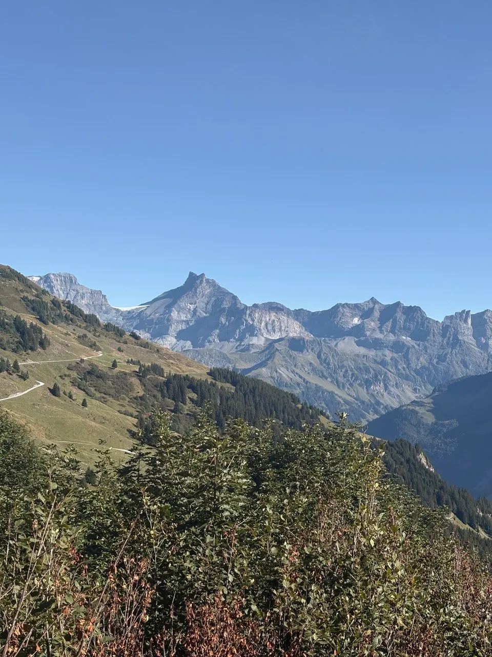 Jagged rock peaks with a small glacier above forested slopes and a deep valley.