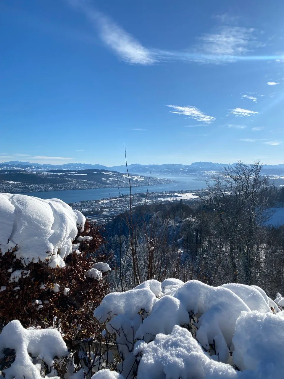 View across snow-covered Lake Zurich to the Alps on the horizon.