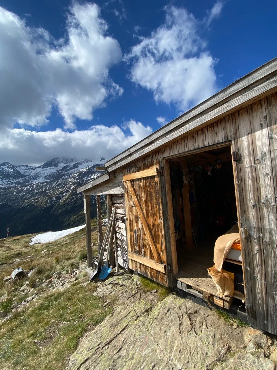 A wooden mountain hut with its door open, a cat on the threshold and snowy peaks behind.
