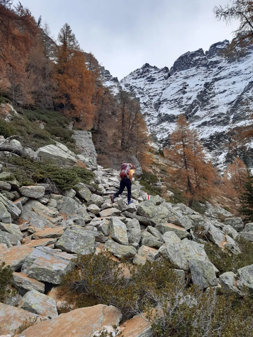 A hiker with a large backpack crossing a boulder field below snow-streaked crags, framed by glowing autumn larches.