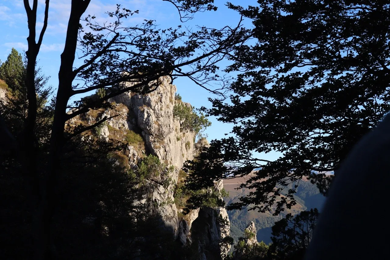 Sunlit limestone pinnacle framed by dark tree silhouettes against a blue sky.