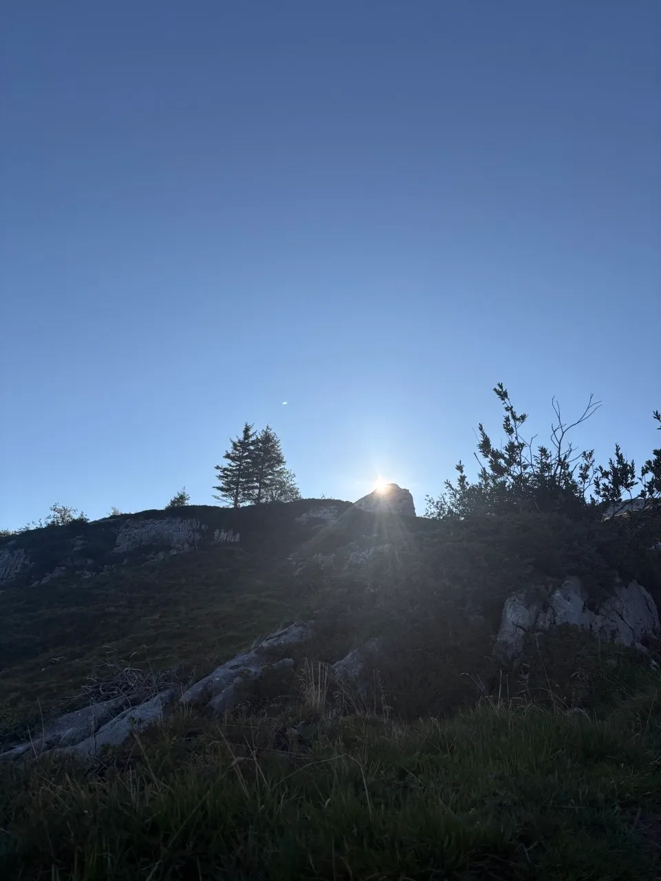 The sun breaks over a rocky ridge with a lone spruce, the grassy ground still in backlight.