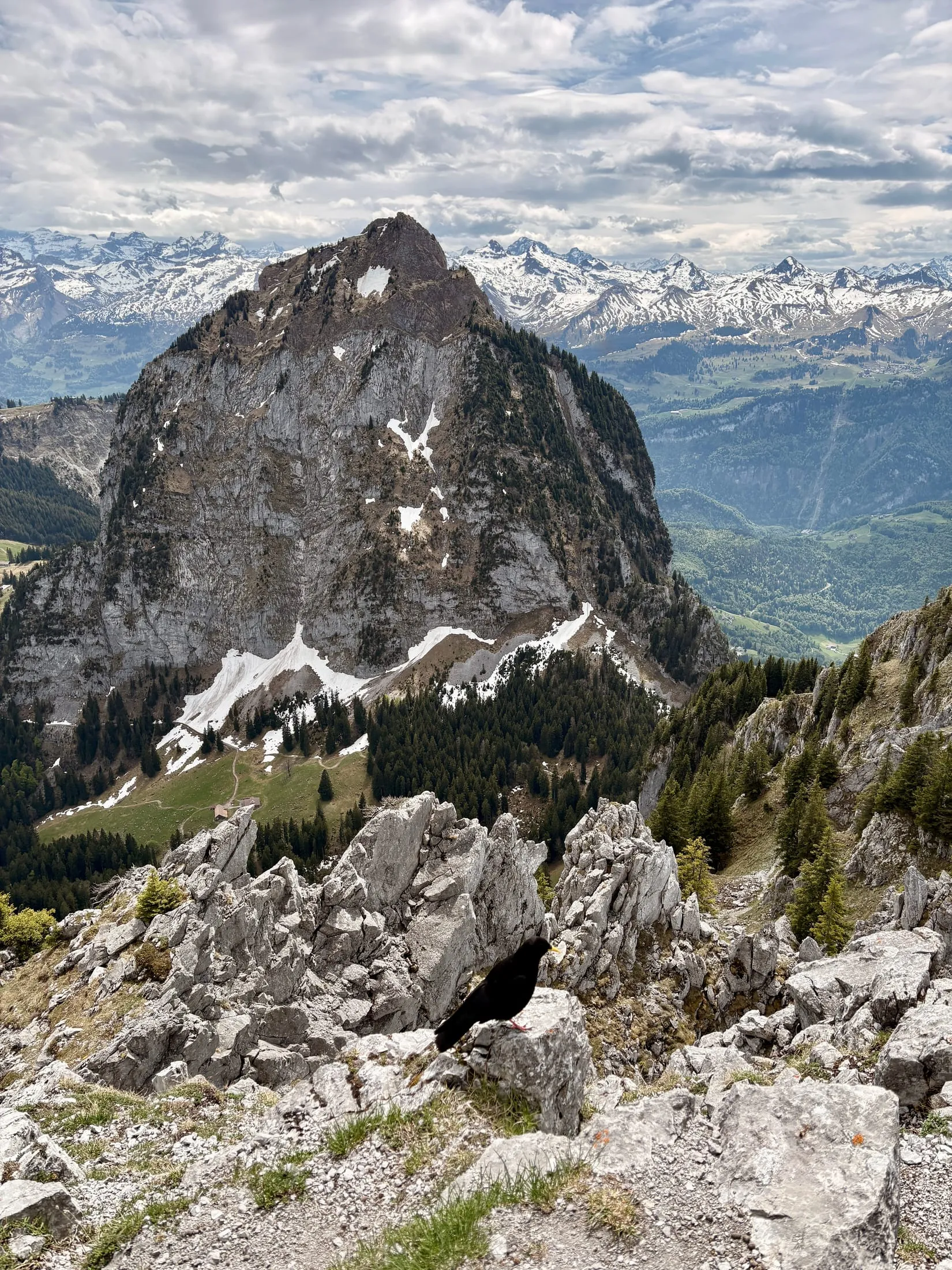 The dark, sheer pyramid of the Grosse Mythen rises across the saddle, with the Glarus Alps behind.