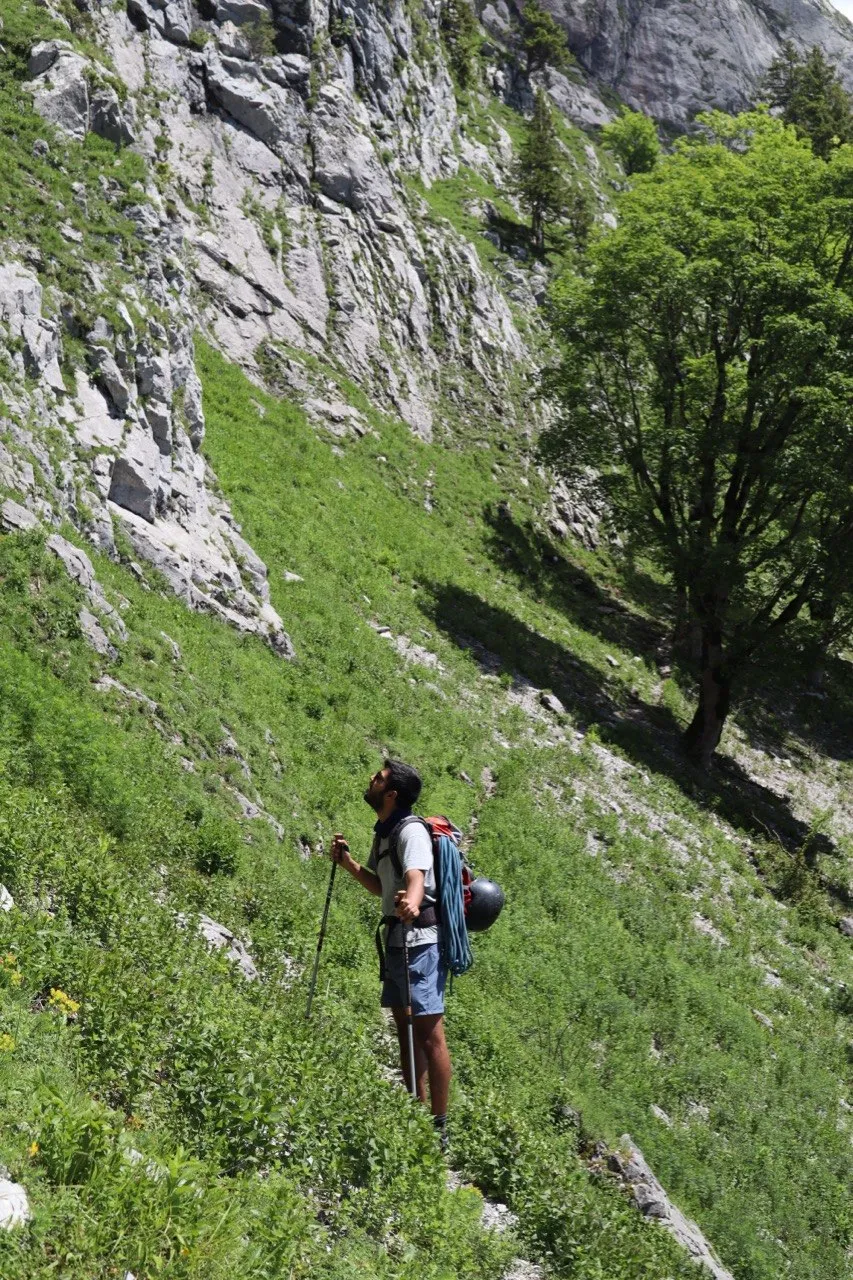 Hiker with poles pausing on a steep green meadow beneath grey cliffs.