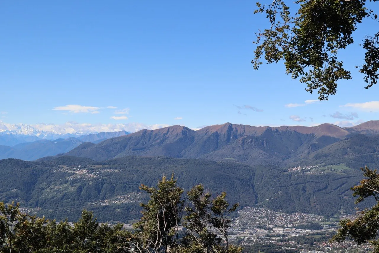 Wide view over the Lugano valley to forested ranges and the snow-capped Alps on the horizon.