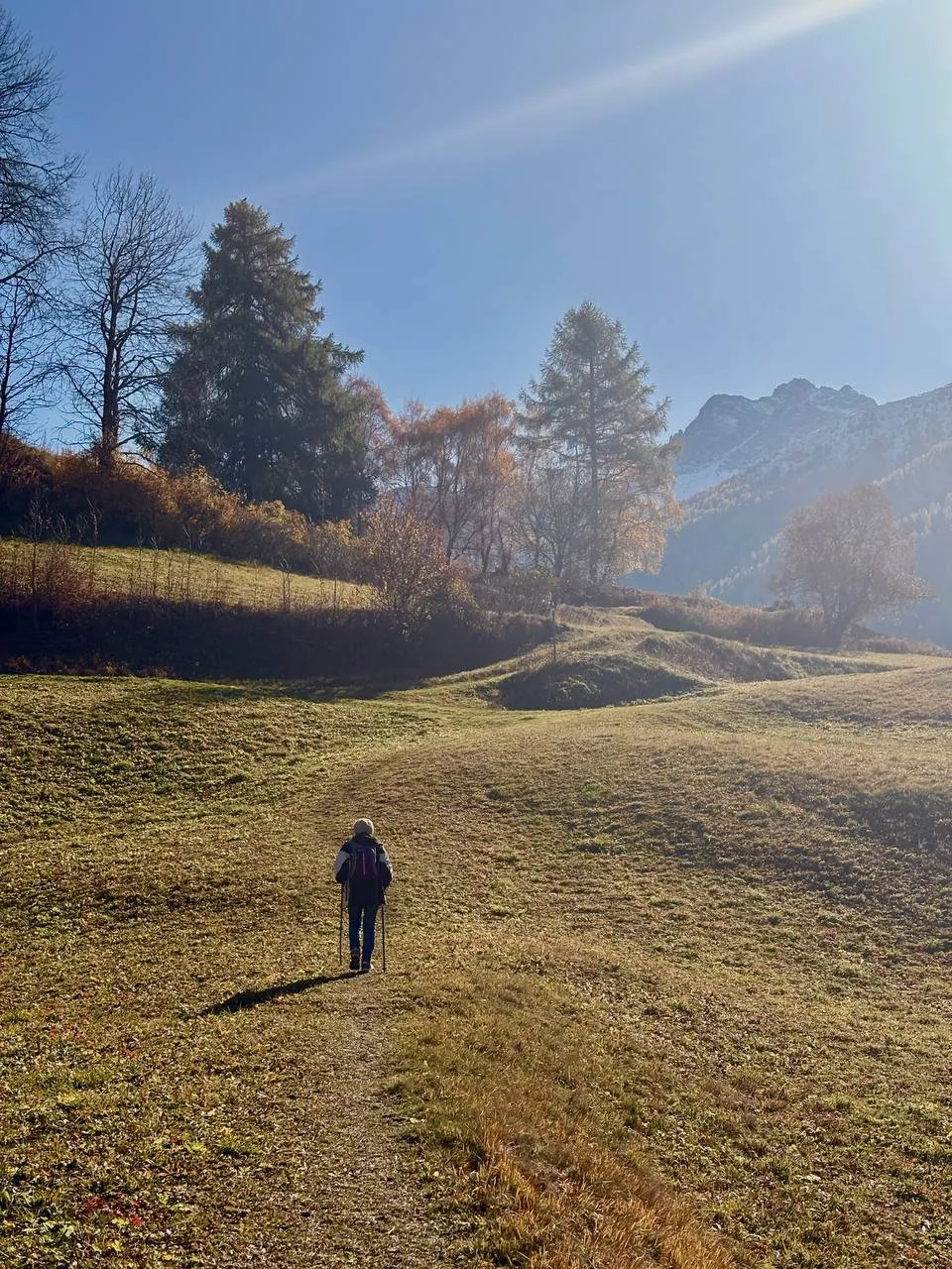 A hiker with poles crosses an open autumn meadow, scattered larches and a last rocky tooth behind.