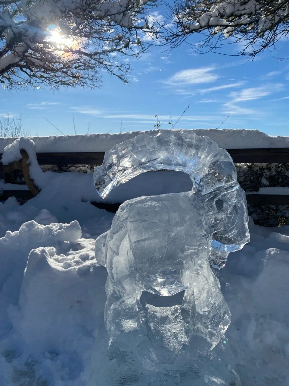 Backlit ice sculpture in front of a snow-covered railing.