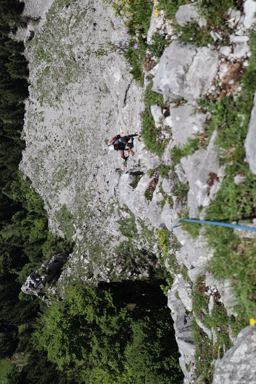 Lone climber on a vast grey limestone slab high above the treetops.