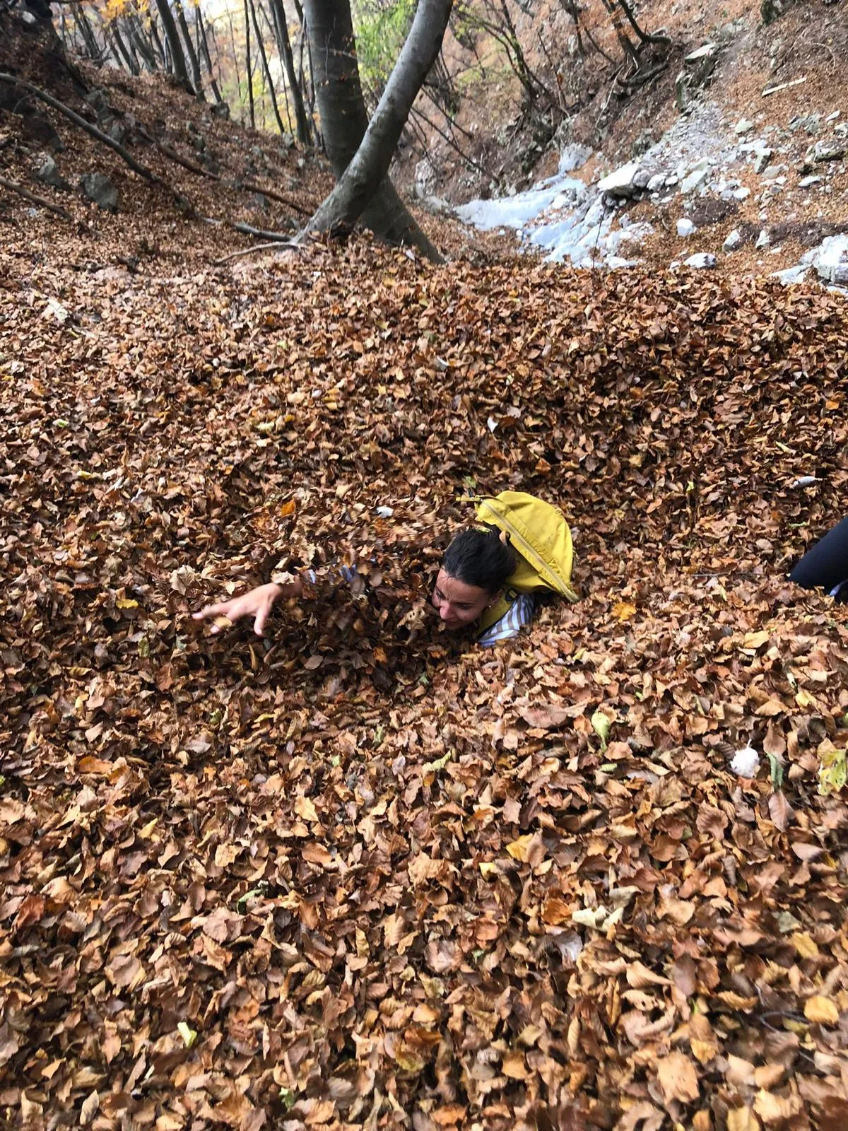 A hiker half-buried and laughing in a deep drift of fallen brown beech leaves.