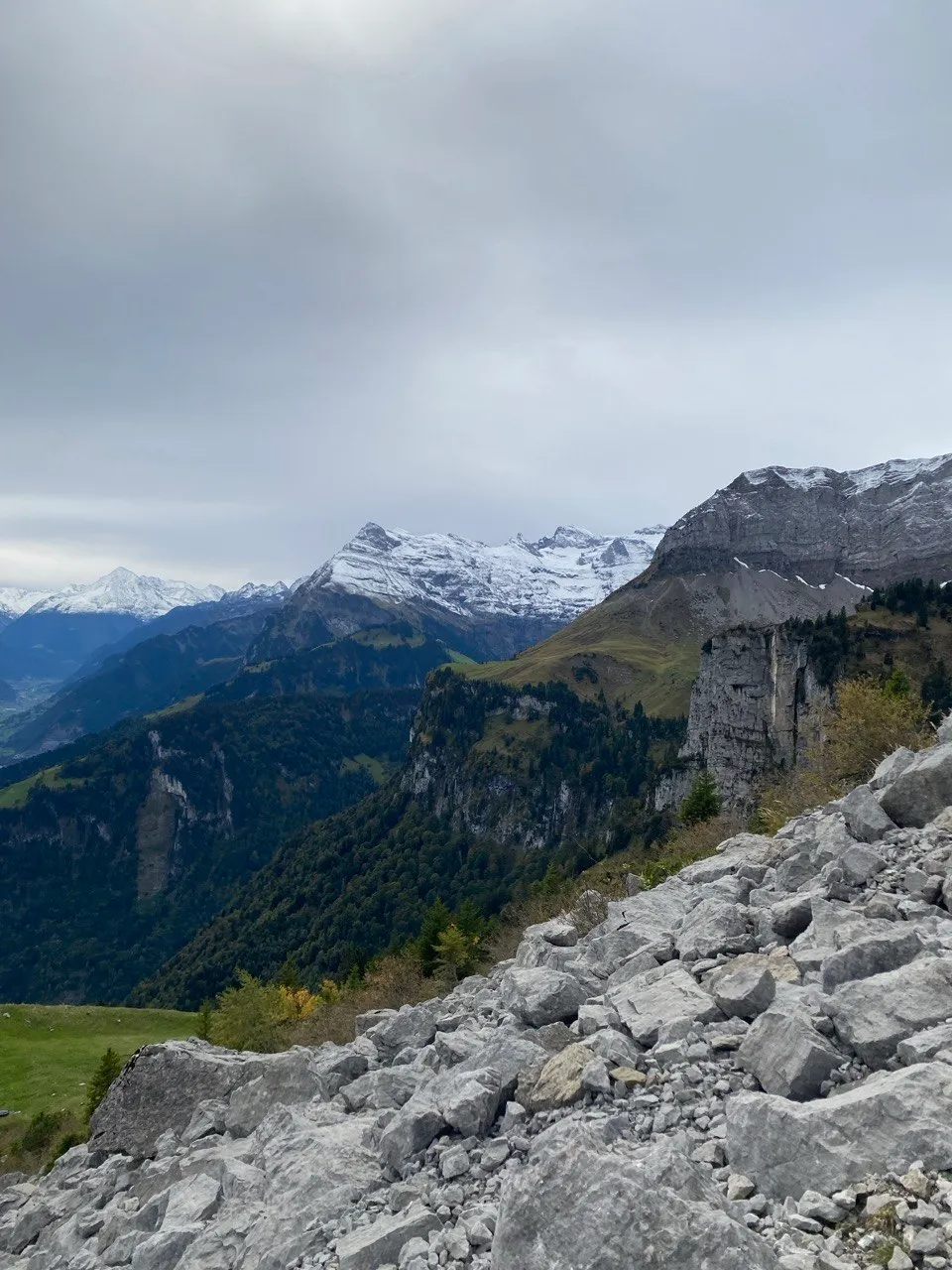 Rocky ridge overlooking snow-capped mountains and forested valleys.