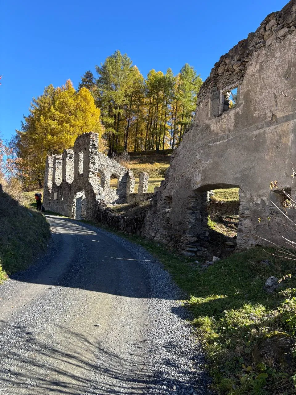 The ruined walls of the Ruina Chanoua above Ardez, a cluster of golden larches in front.