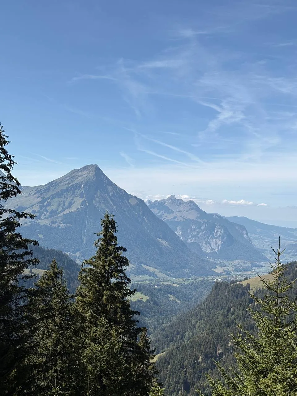 The pyramid of the Niesen above the valley, framed by spruce tops.
