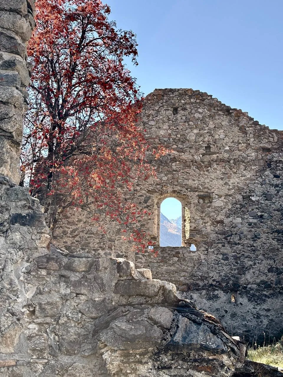A small round-arched window in the ruin's wall, a bright-red rowan in front.