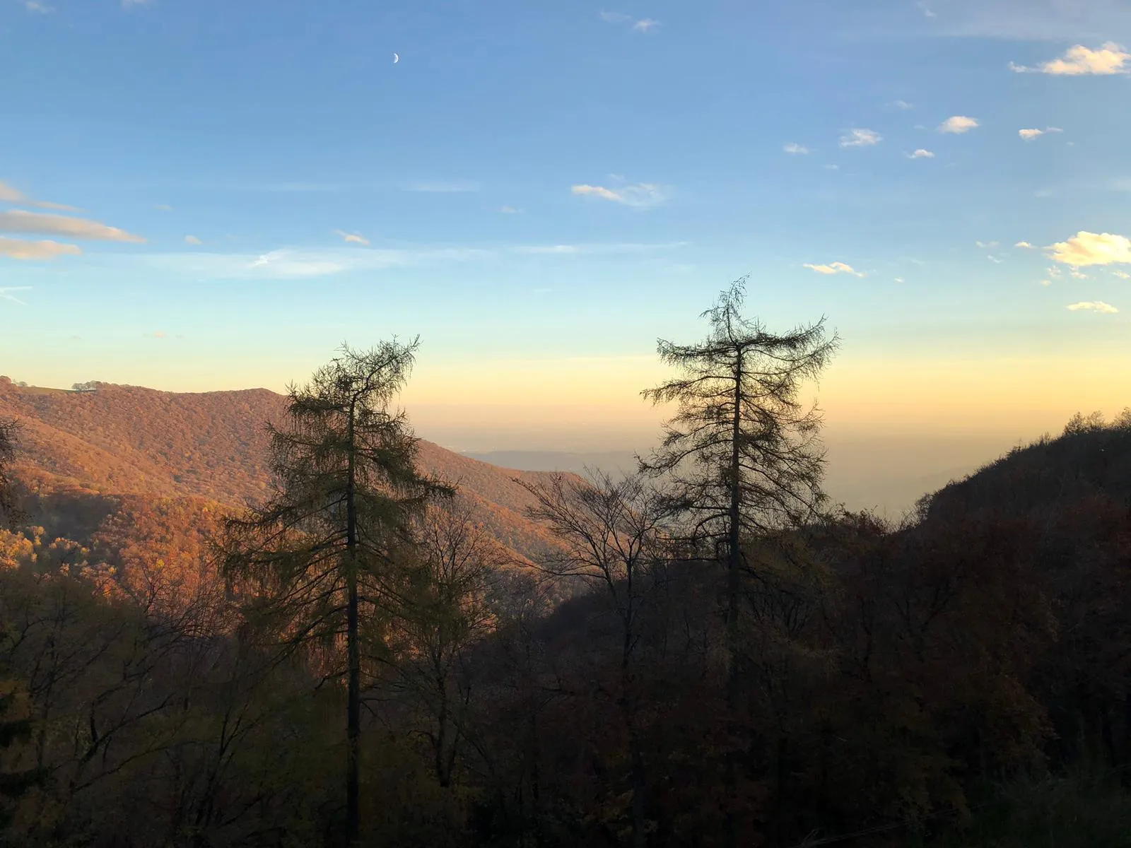 Two larch silhouettes against a dusky sky over autumn-coloured hills, a crescent moon above.