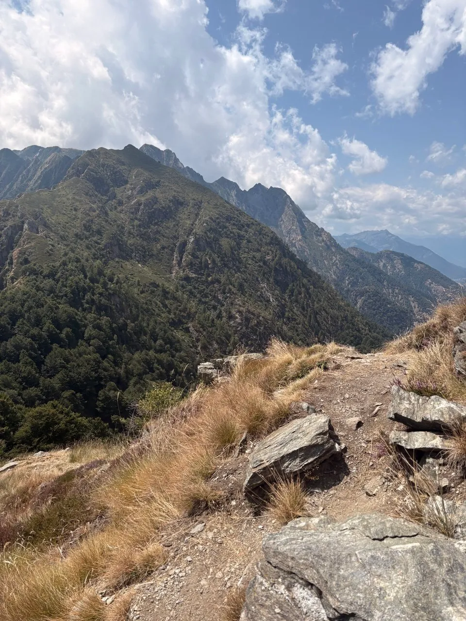 A rocky path through dry tussock grass on the ridge, a steep wooded mountainside and jagged summits opposite.