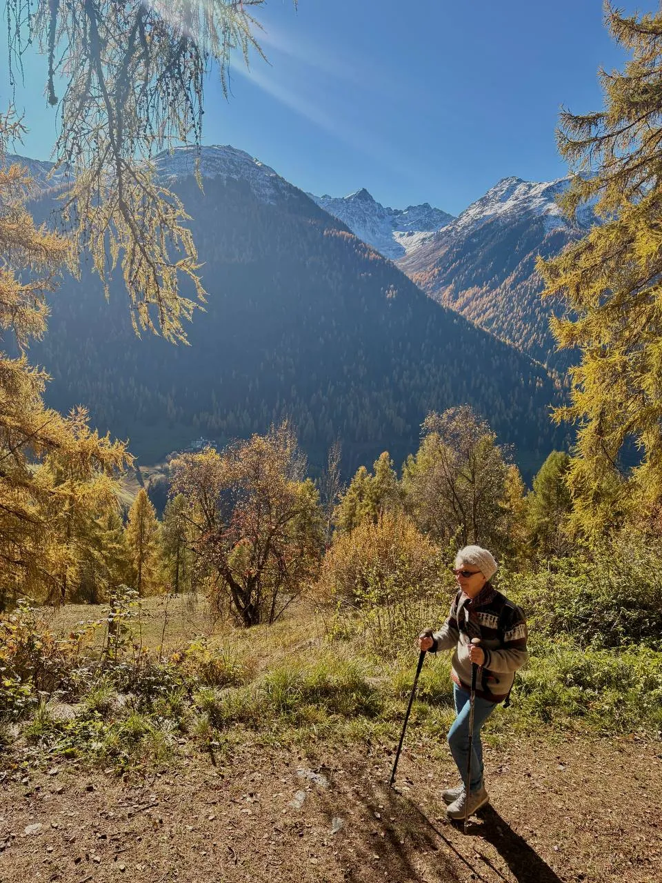 My mother climbing with poles, framed by backlit golden larches.