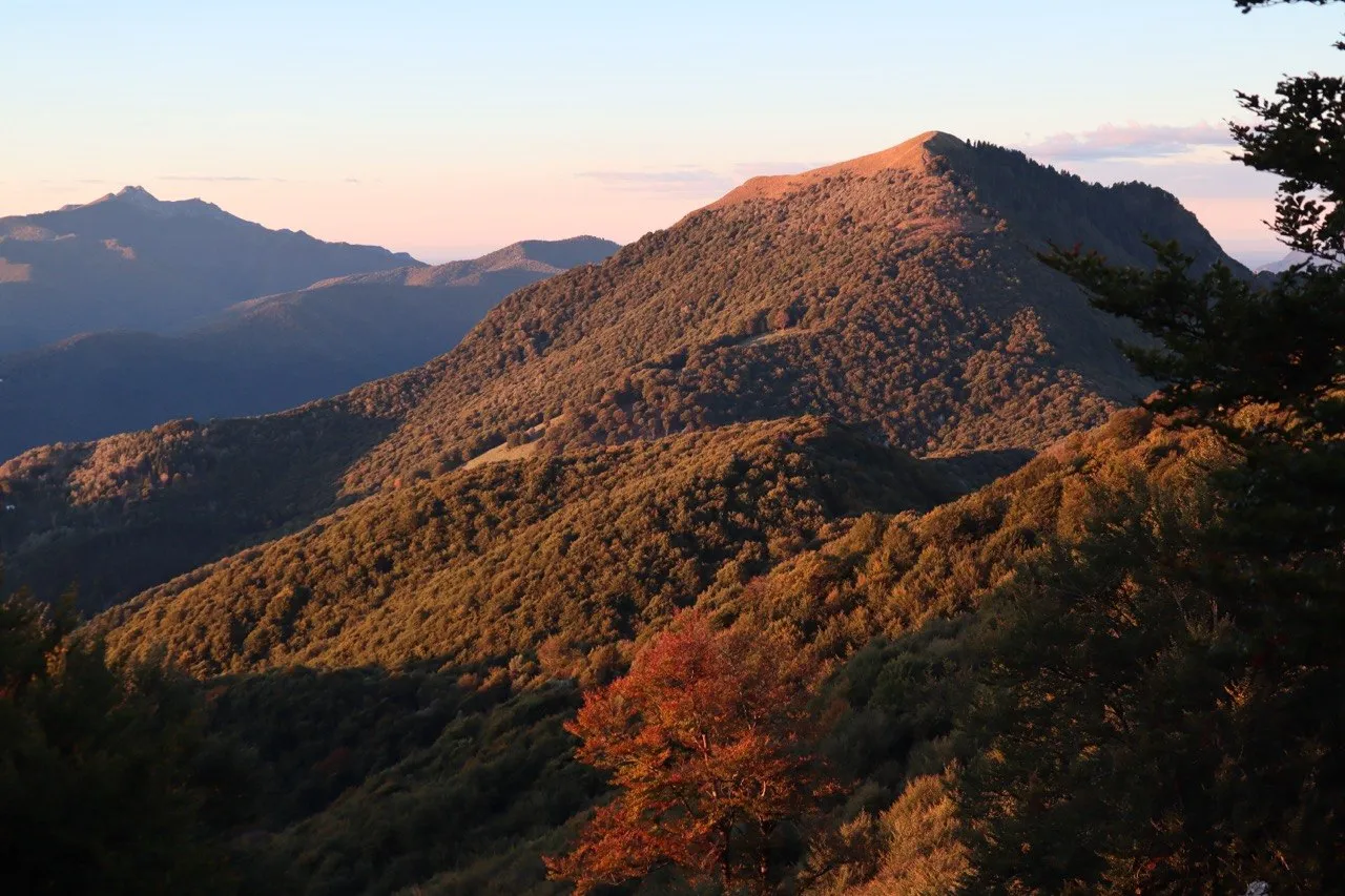 Panoramic view over forested ridges with a touch of autumn color.