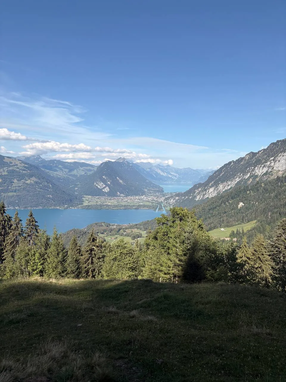 A view from a meadow across Lake Thun to Spiez and the Kander delta, forest all around.