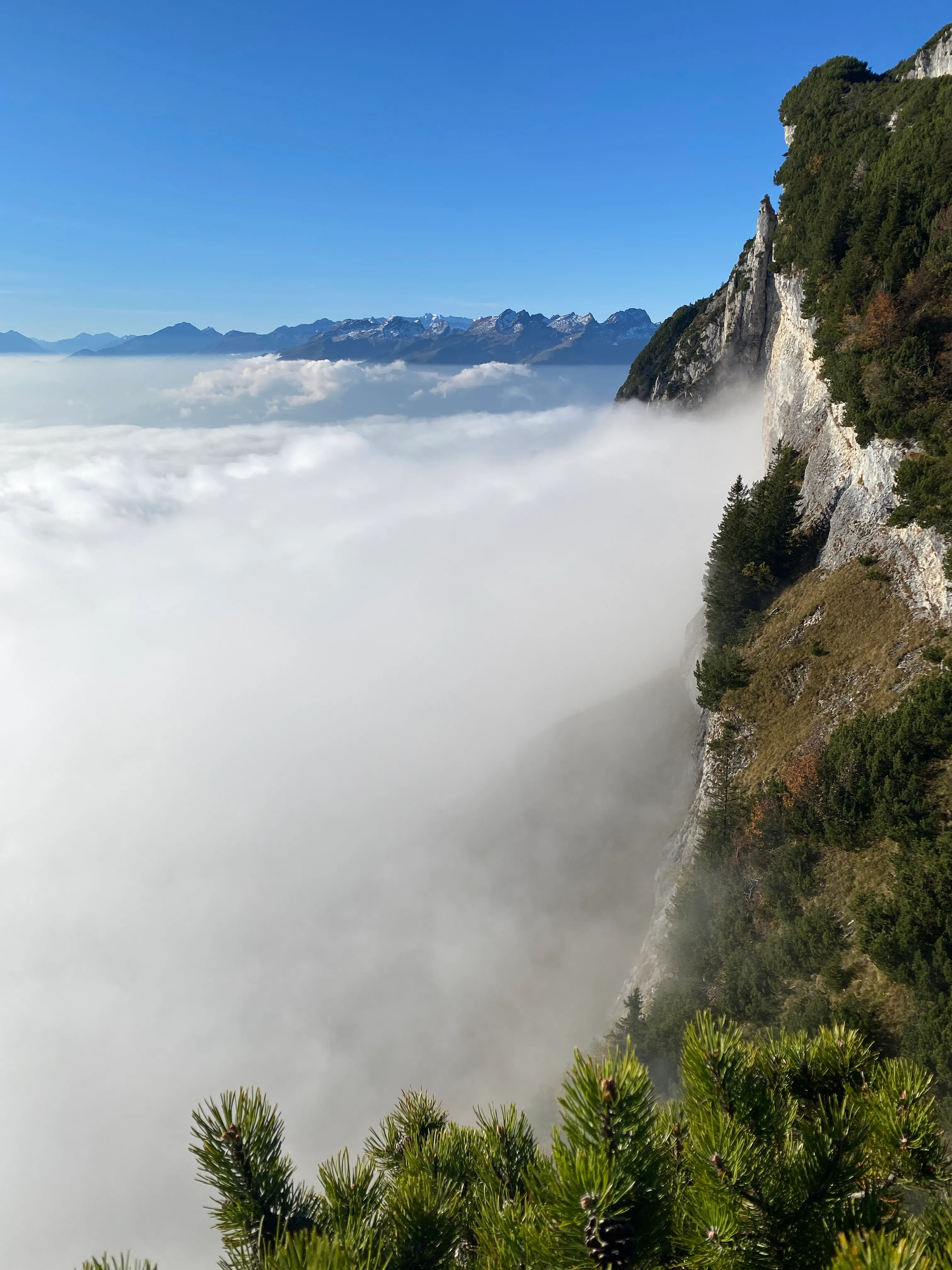 A steep rock face above a sea of fog, the snowy Alps beyond.
