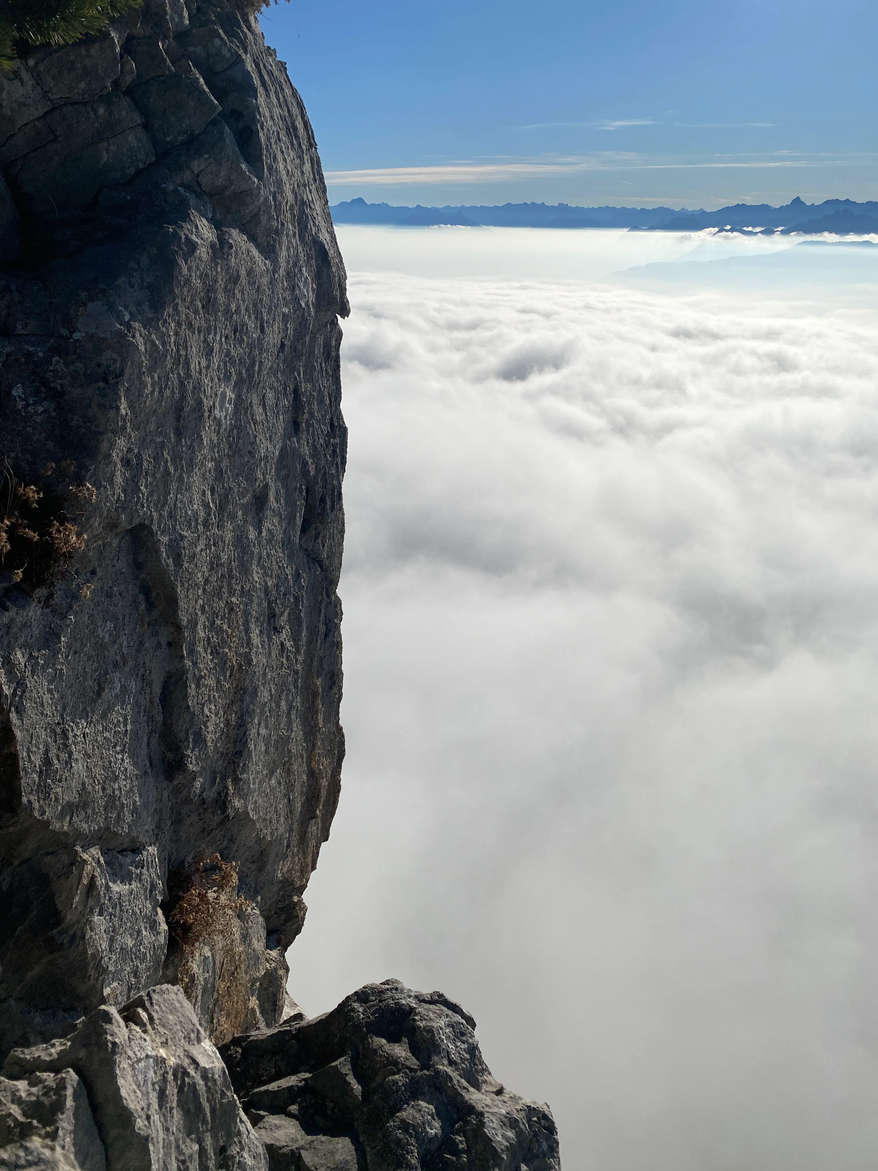 A sheer pale limestone wall breaking off into a sea of fog, distant alps on the horizon.