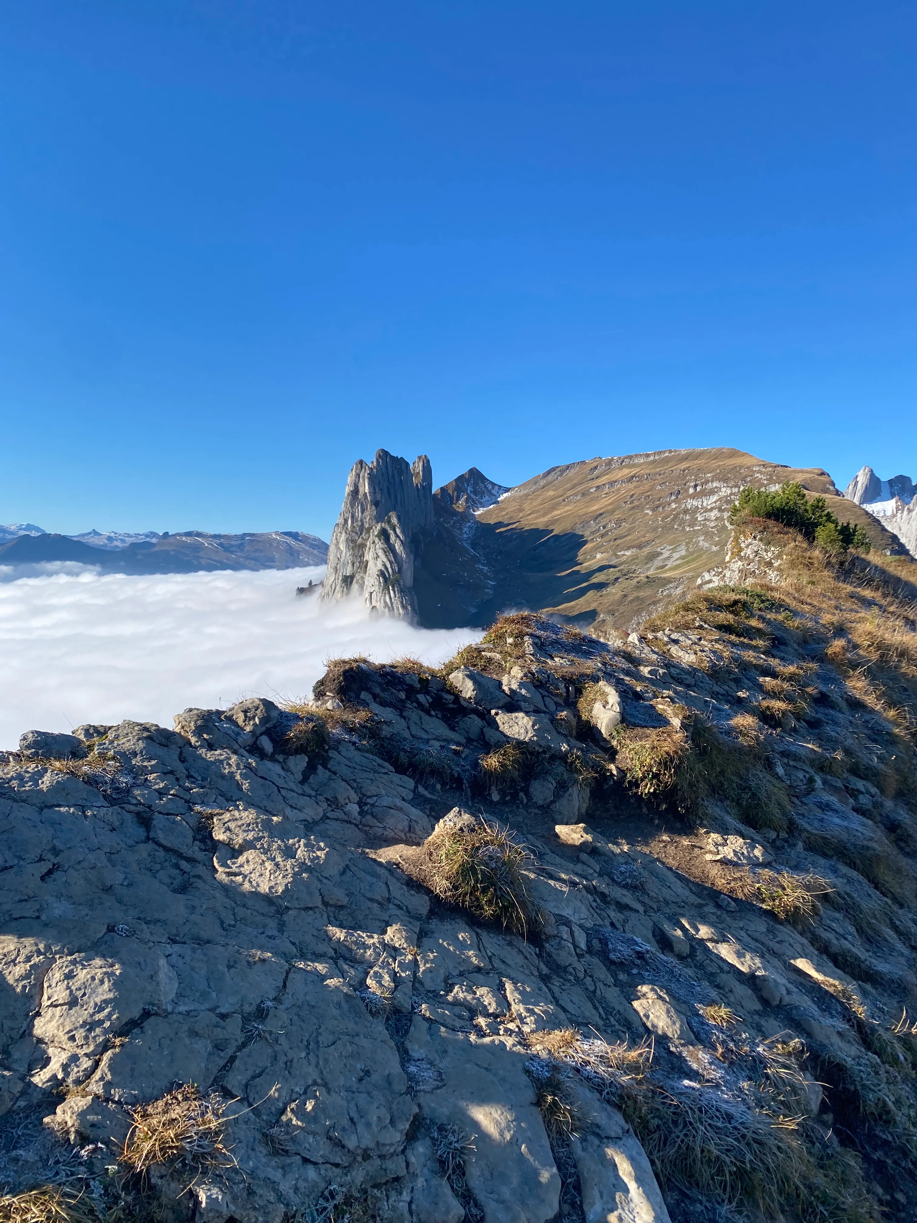 The Saxerlücke rock spire rising out of the sea of fog, frost-covered rock in the foreground.