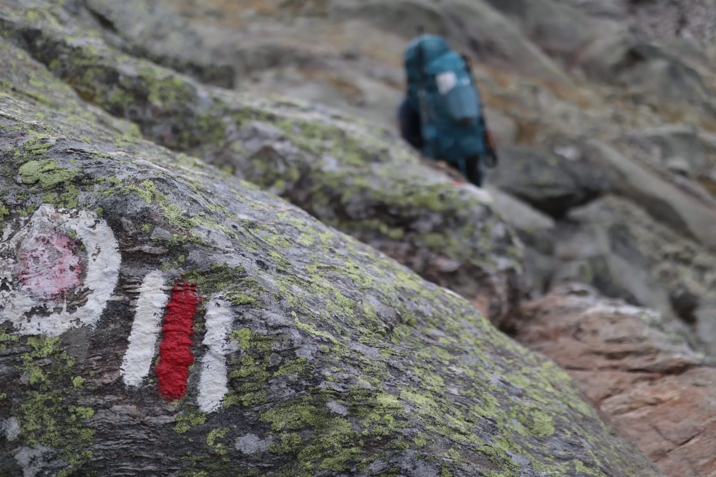 White-red-white trail blaze on lichen-covered rock with a turquoise backpack behind.