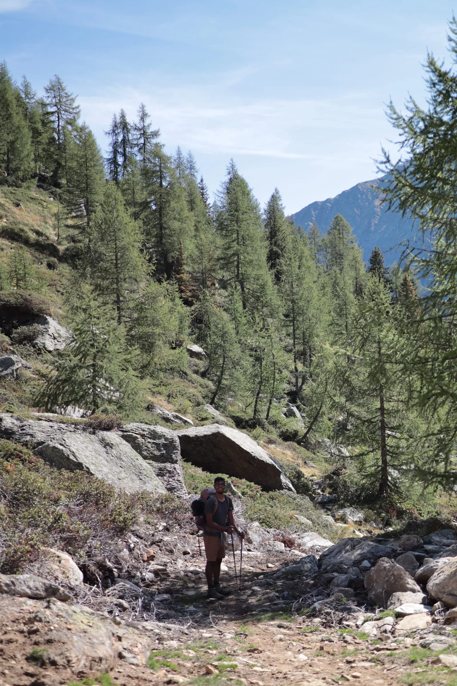 Hiker on a narrow path through an open larch forest high above the valley.