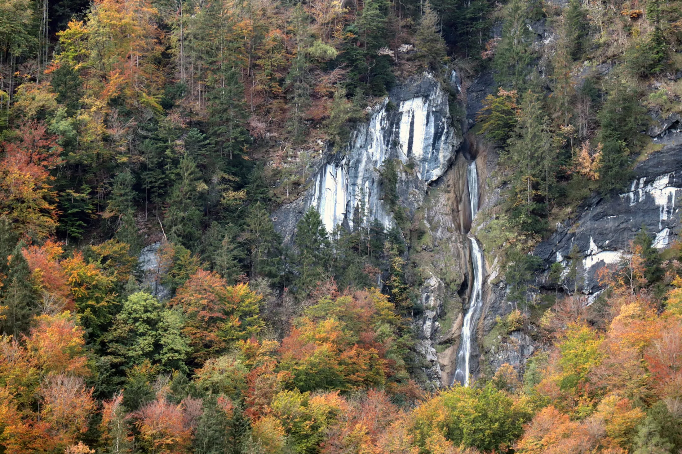 Waterfall tumbling down a cliff face surrounded by autumn-coloured forest.