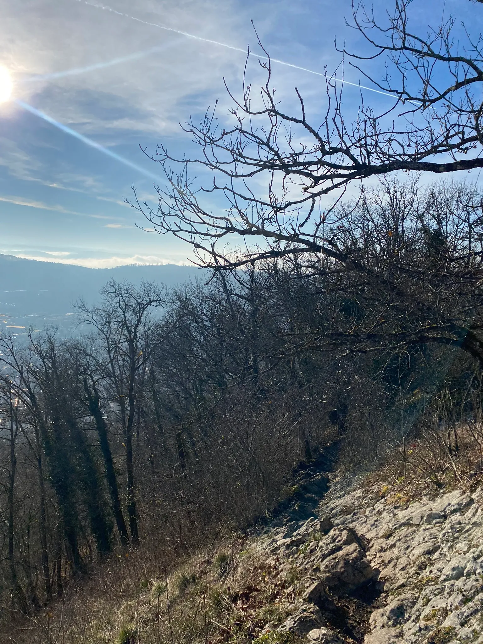 Backlit view over the hazy Mittelland from the ridge, bare trees in silhouette.