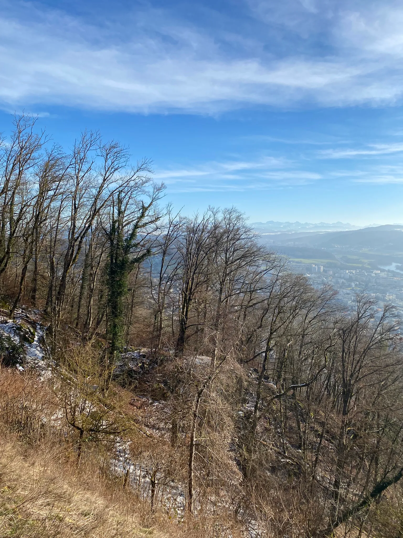 Wide view from the Lägern over Baden and the valley to the distant Alps.