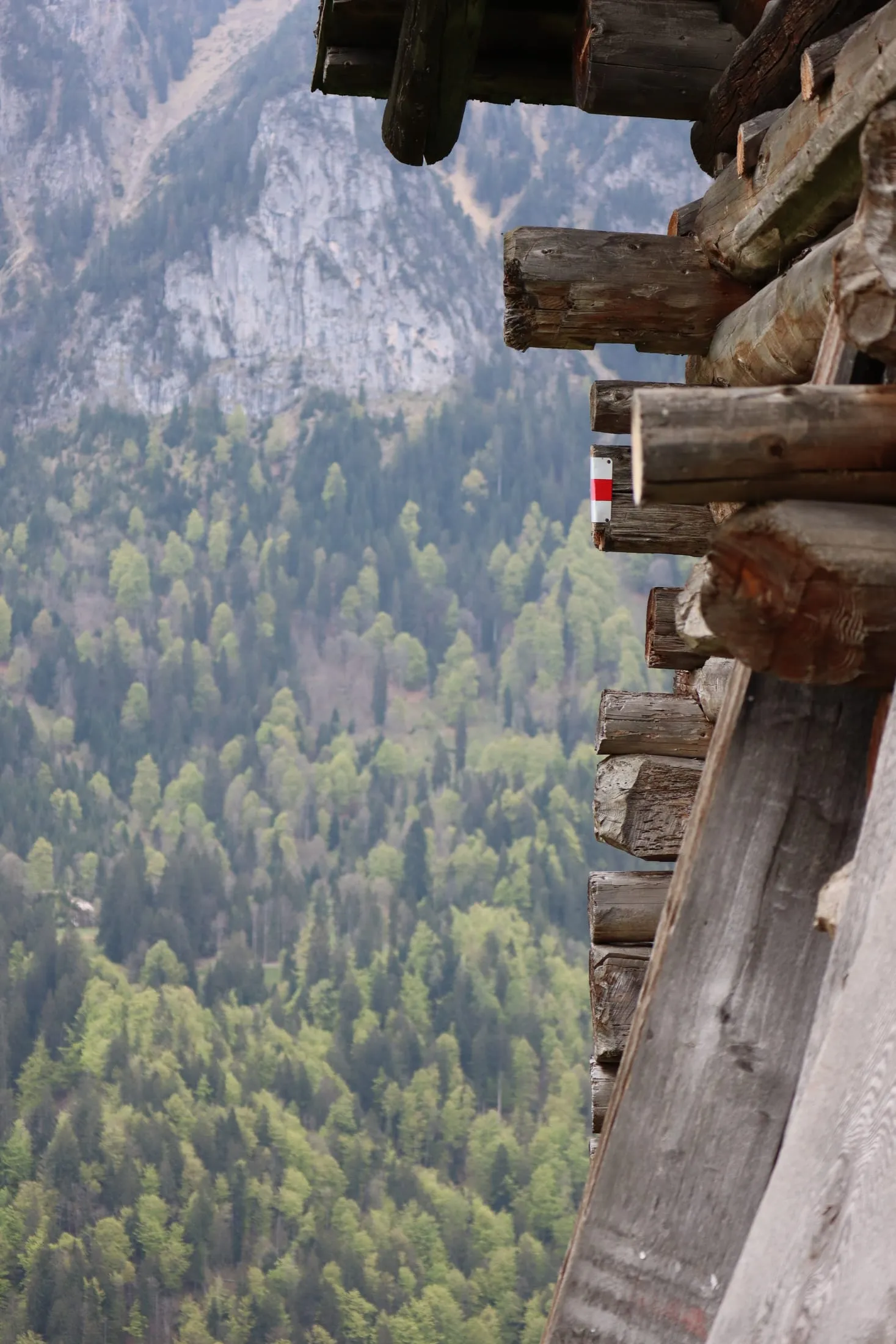 Red-and-white trail blaze on a wooden post above a steep, deep valley.