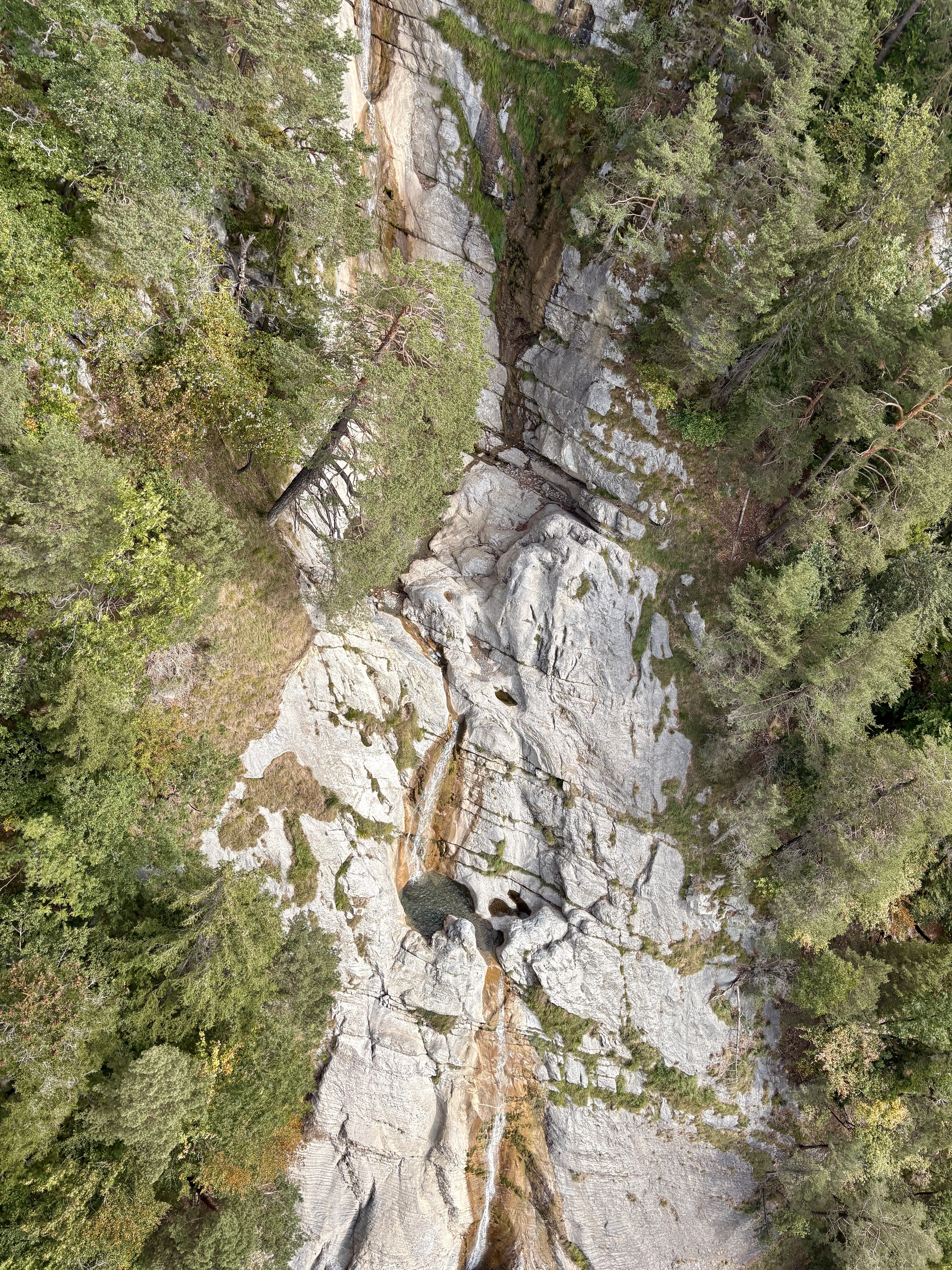 Looking down onto a bright, water-polished limestone slab dropping away between dense conifer forest.