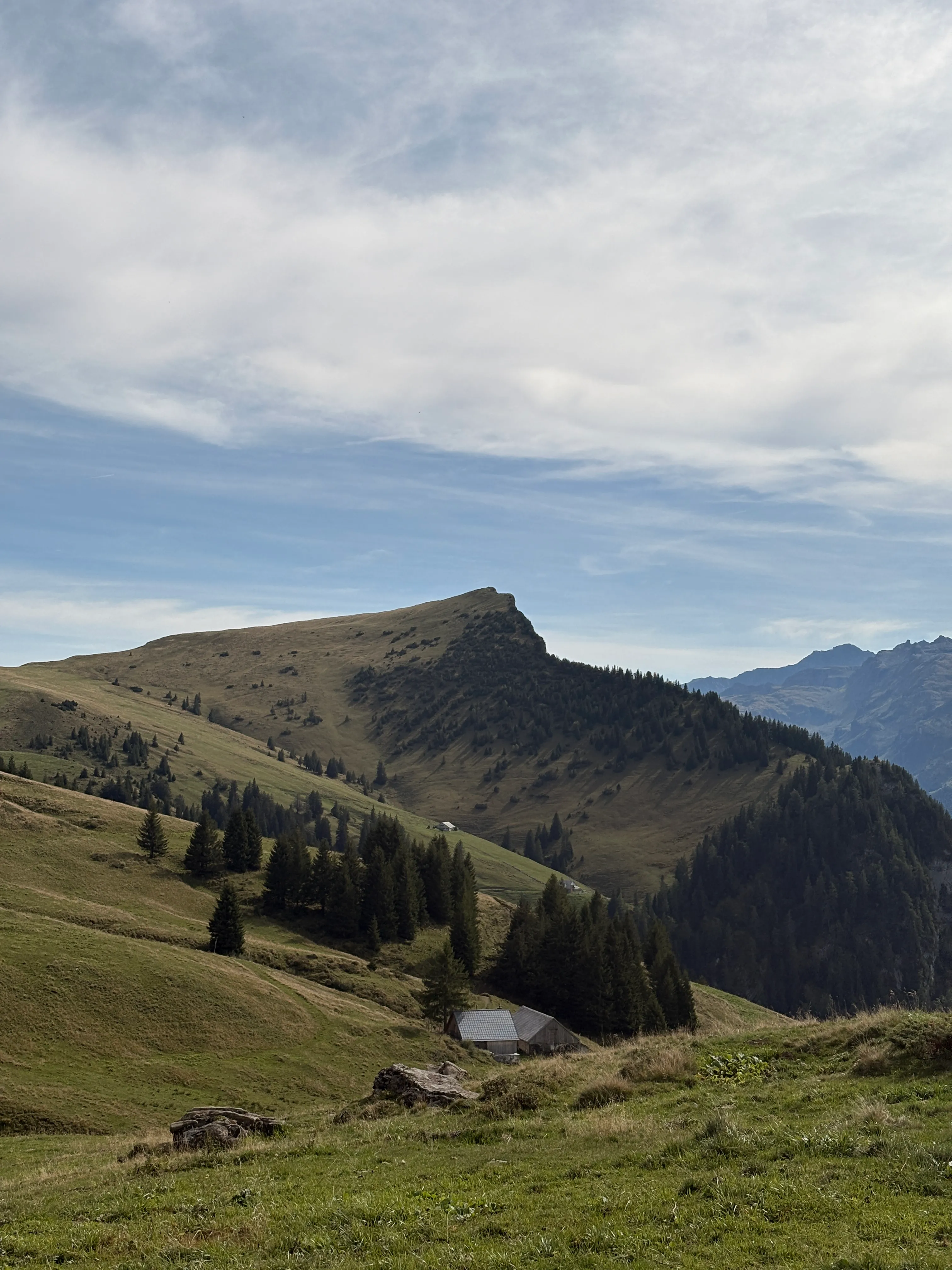 Grassy alpine pastures rise to a gently rounded summit with a wooded shoulder, an alp hut in the hollow below.