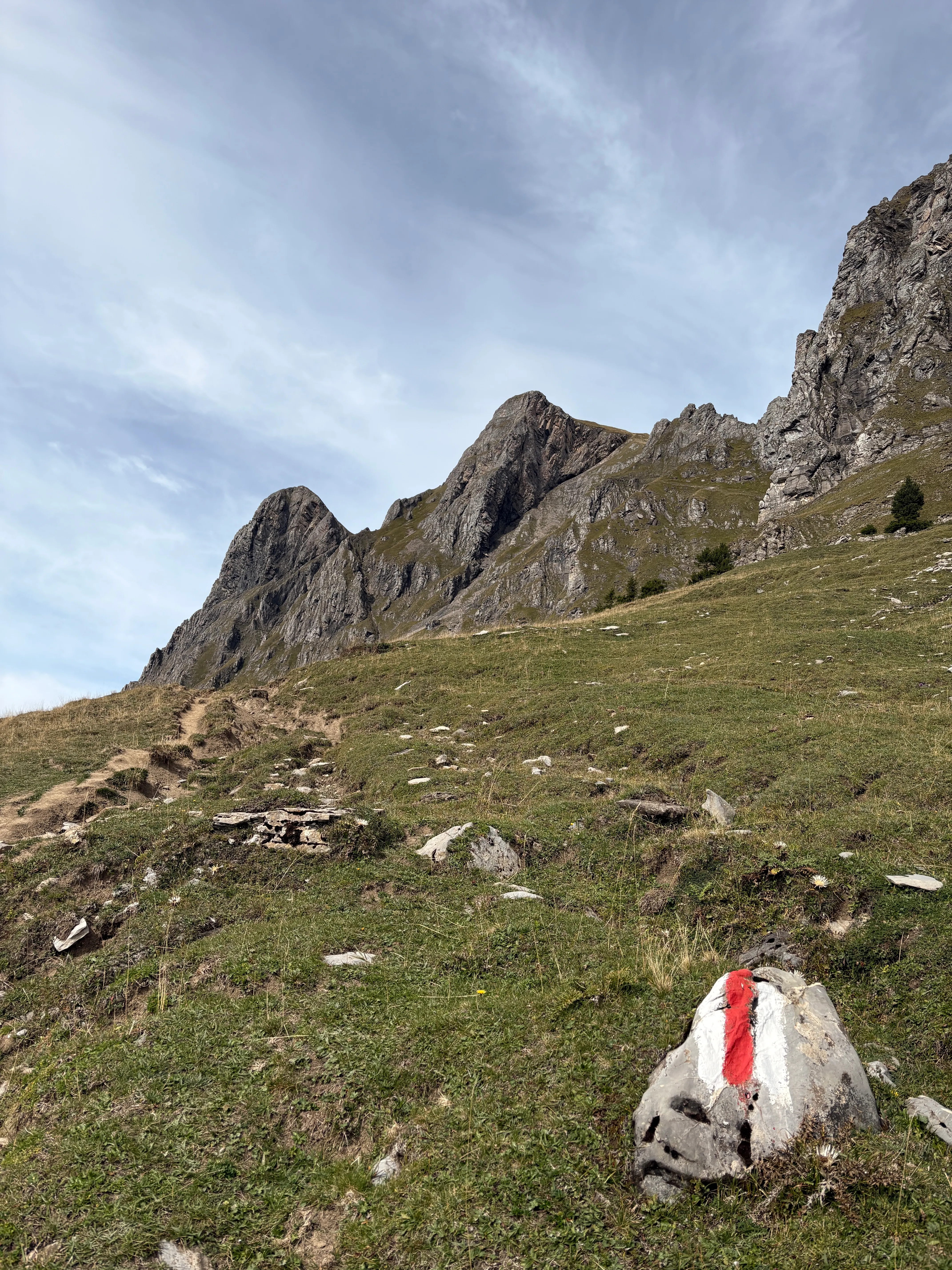 A path climbs over alpine meadows toward the jagged rock ridge of the Alvier, a boulder with a red-and-white waymark in the foreground.