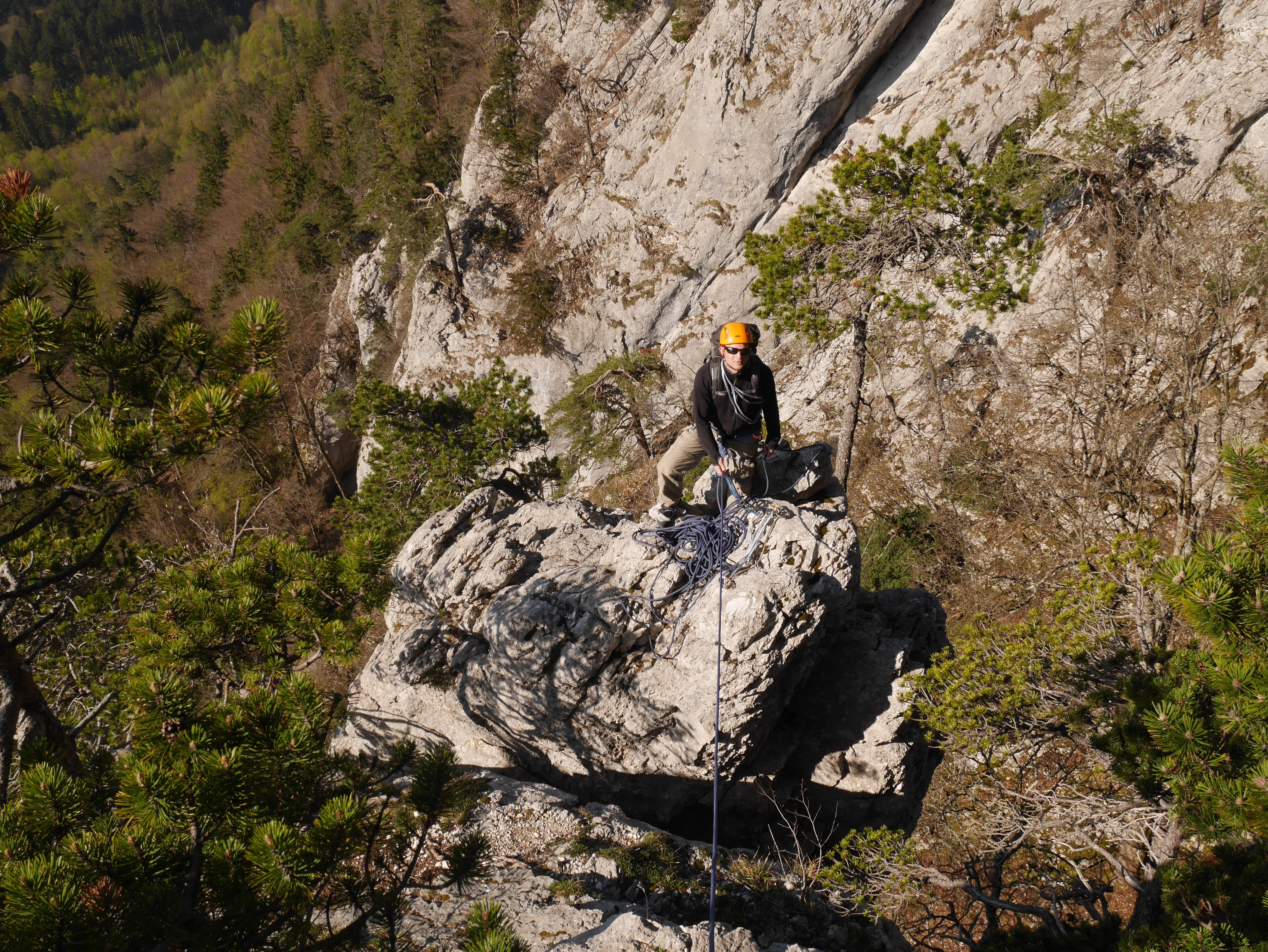 A climber in an orange helmet stands at a belay on a pale limestone tower on the Balmflue south ridge, surrounded by mountain pines above the spring-green Jura forest.