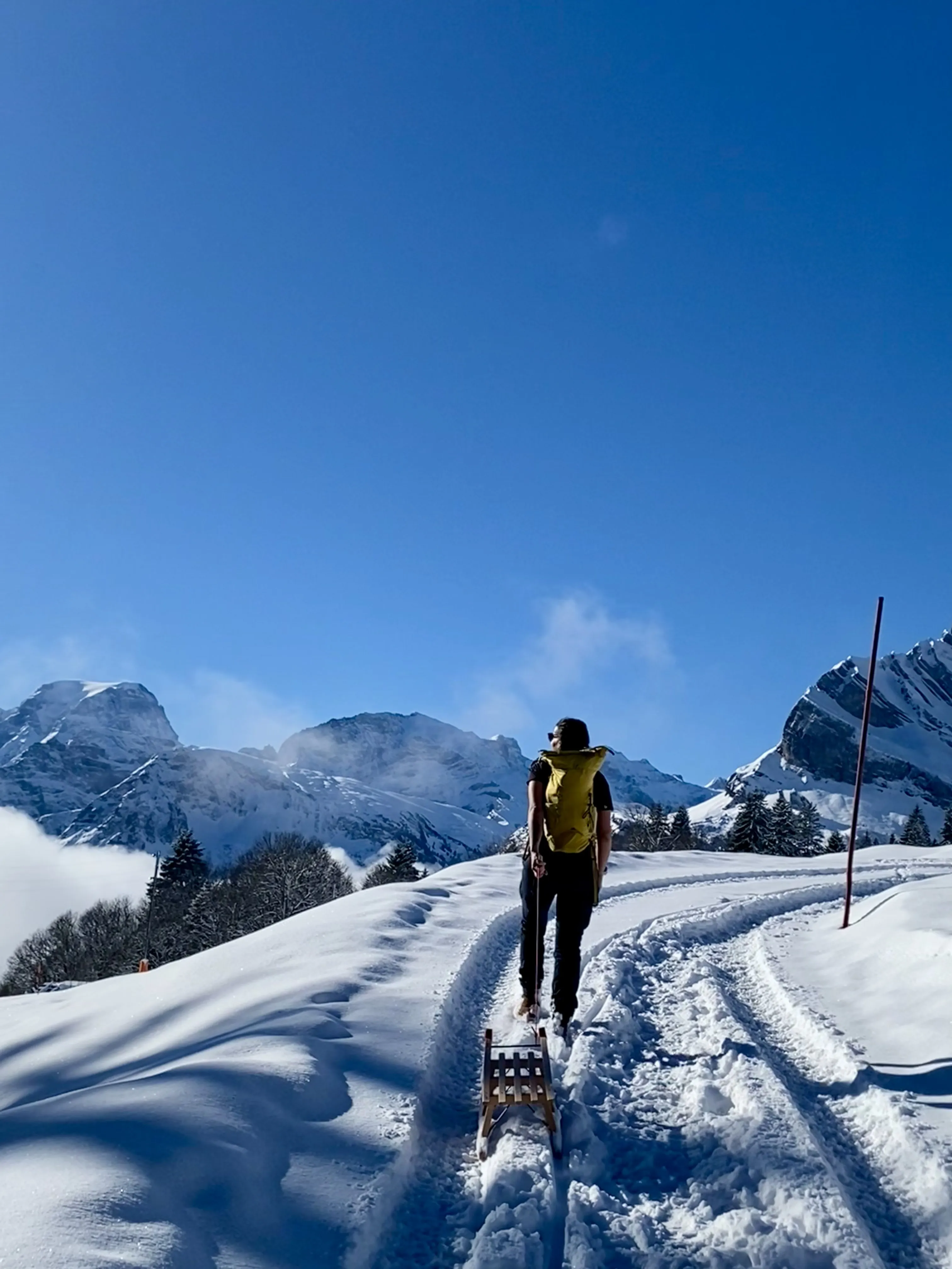 Walking up the snowy sledge track pulling a sledge by its rope, the Glarus peaks ahead under a clear blue sky.